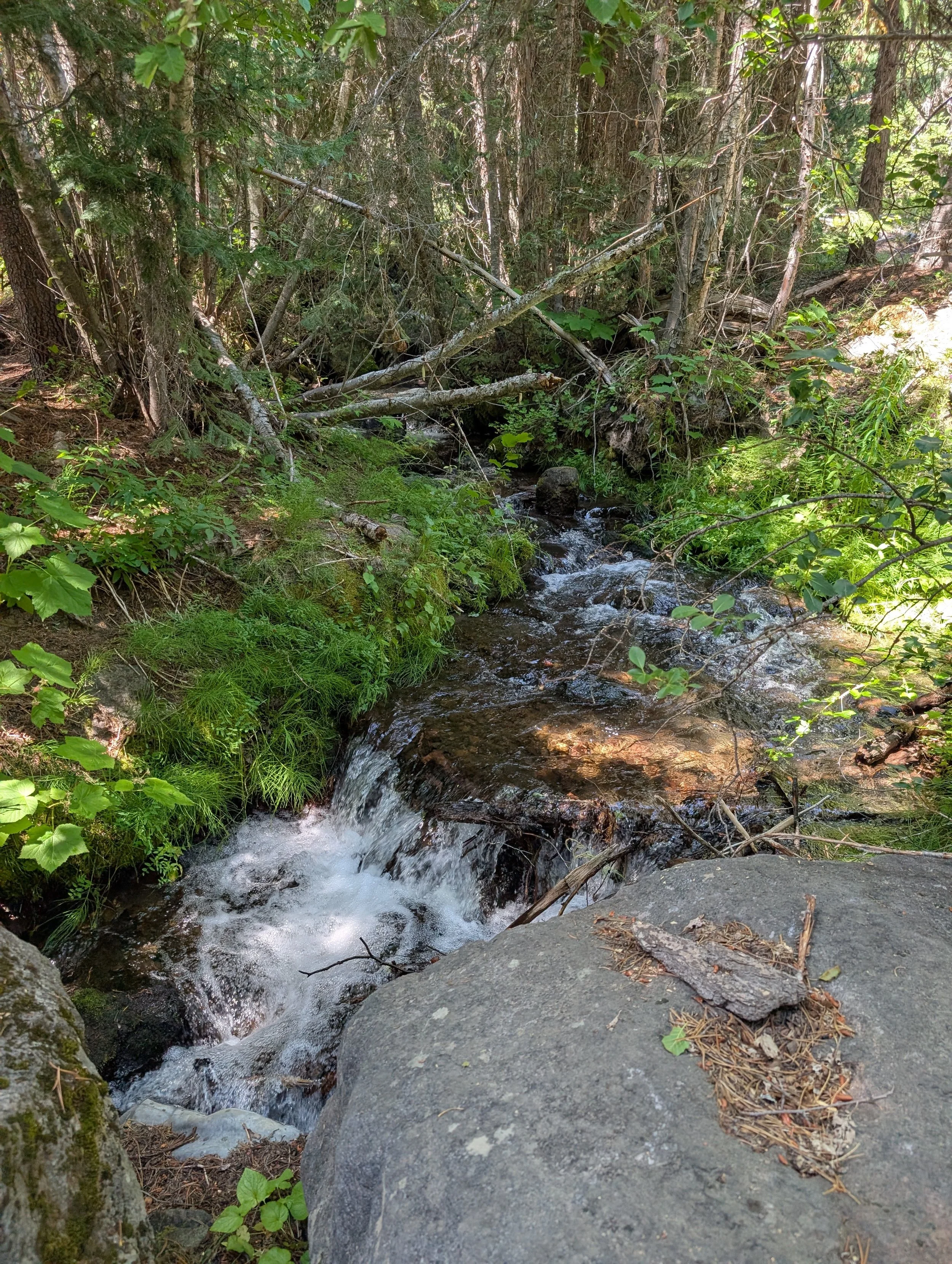 PXL_20260810_203711258.jpg