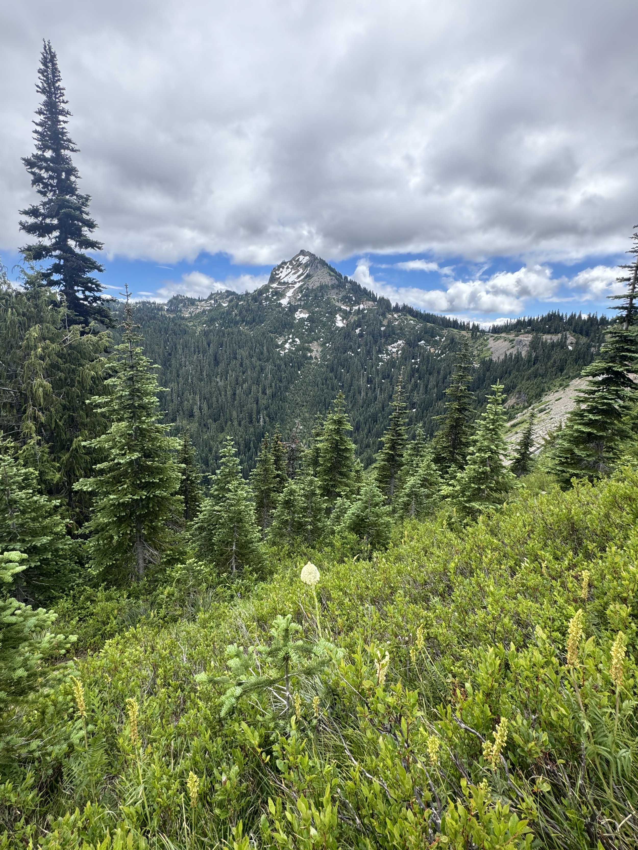 IMG_2019.jpeg
