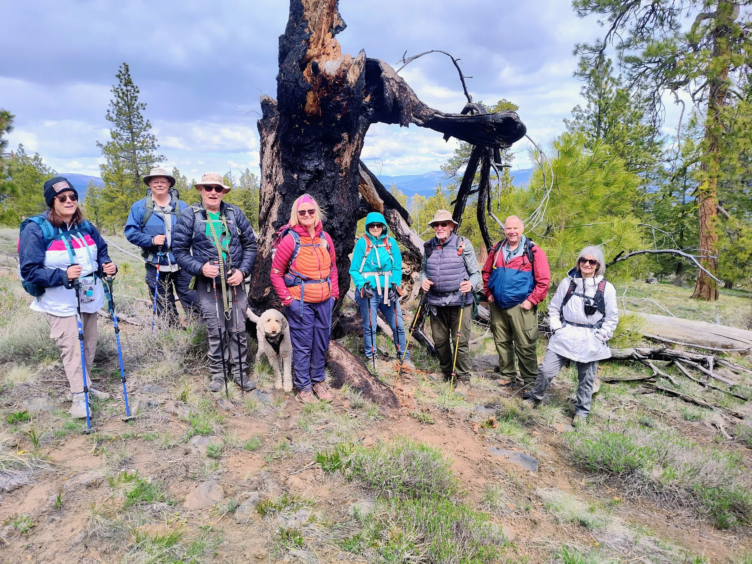 IMG_20260427_121310137_HDR~4.jpg