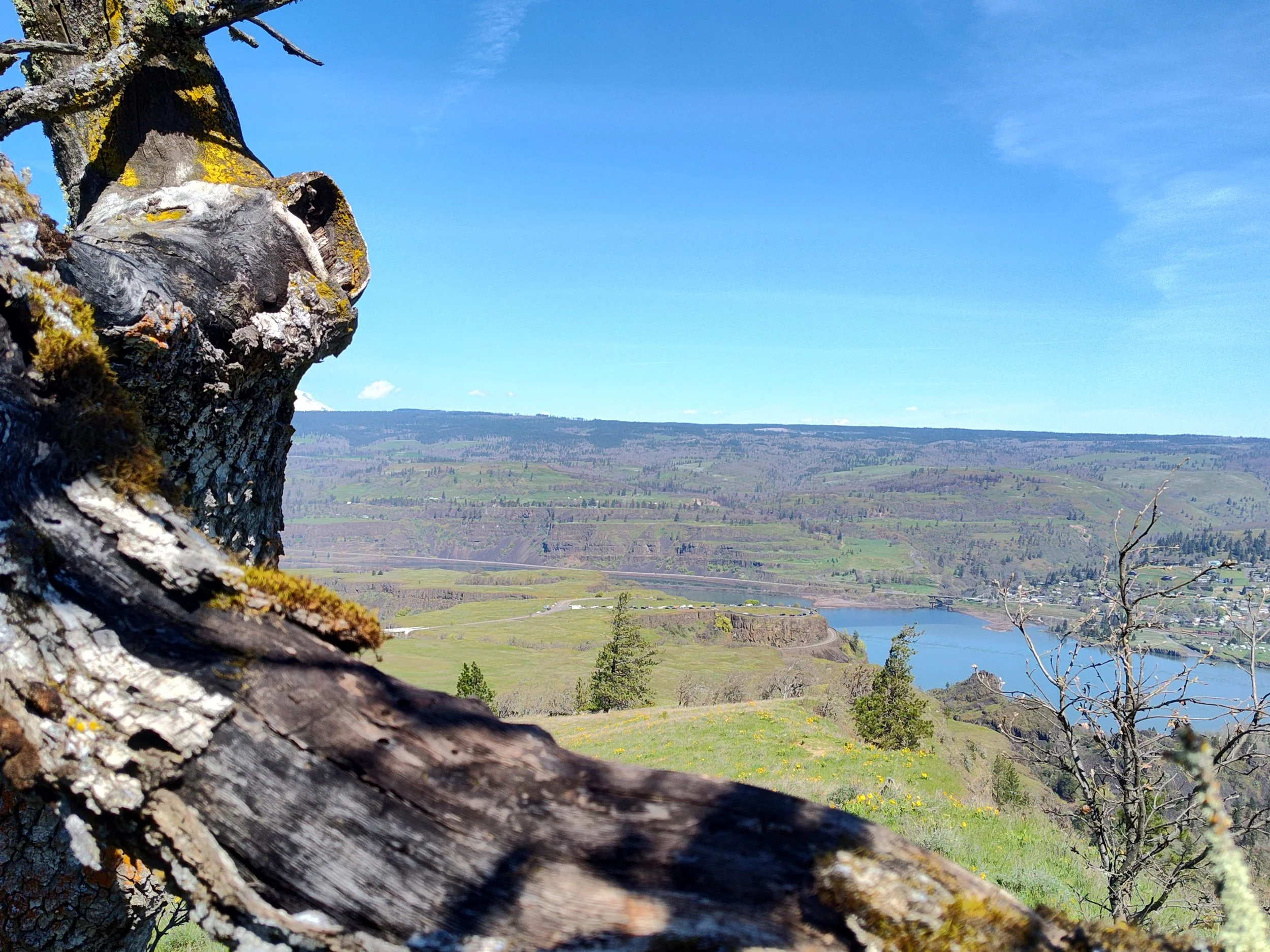 IMG_20260406_122925623_HDR.jpg