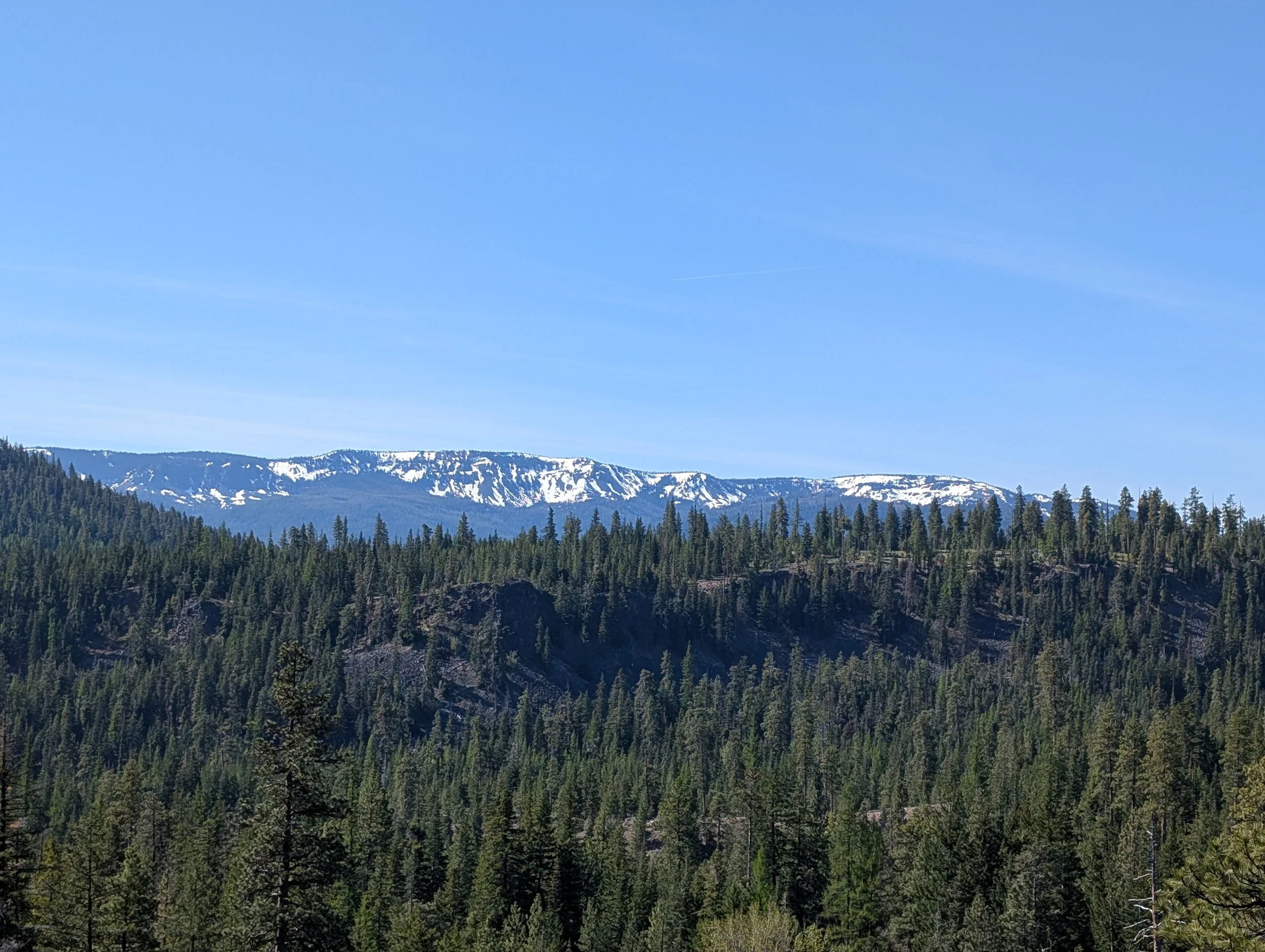 PXL_20260504_170800466.jpg