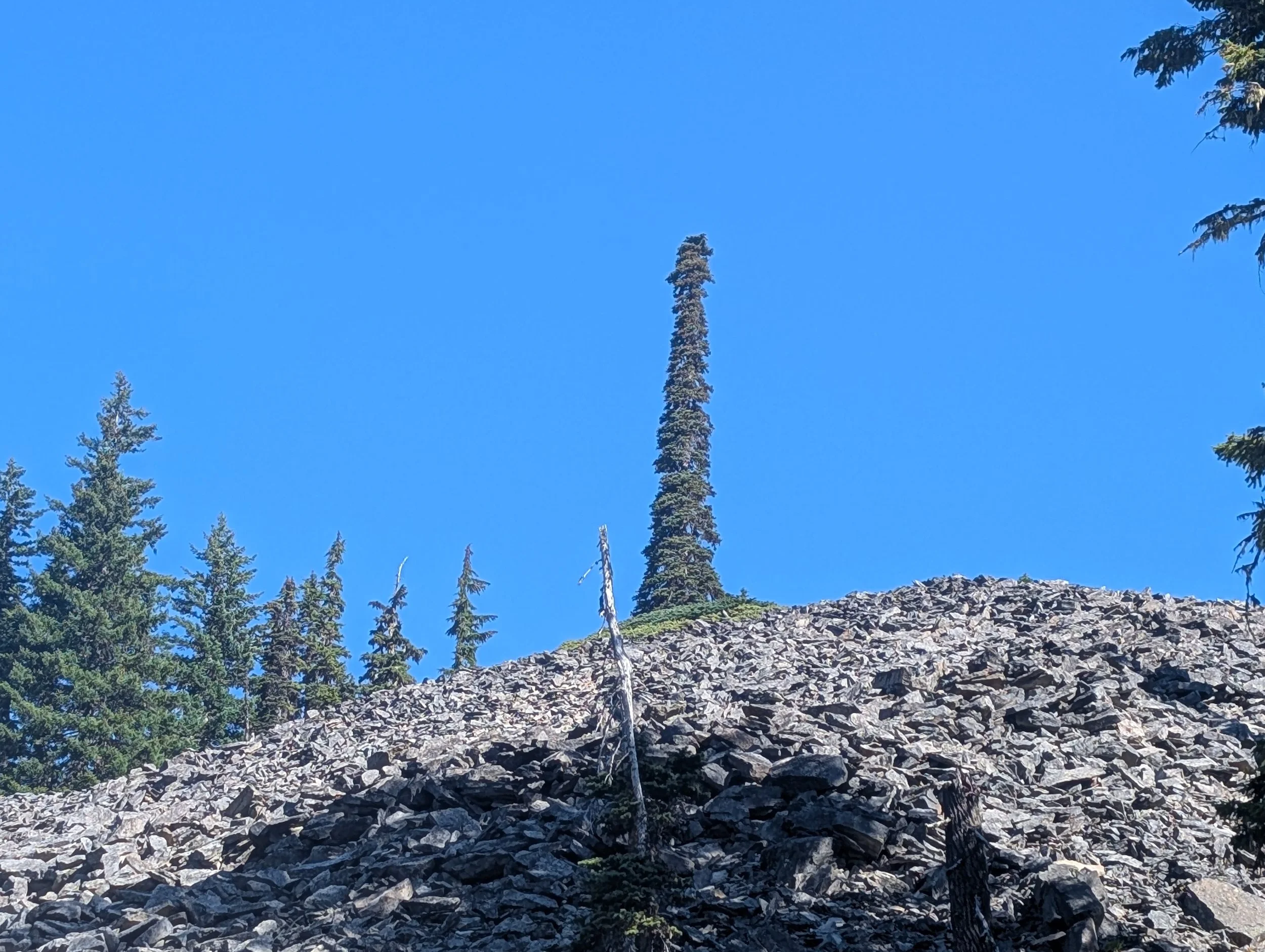 PXL_20260824_164356648.jpg