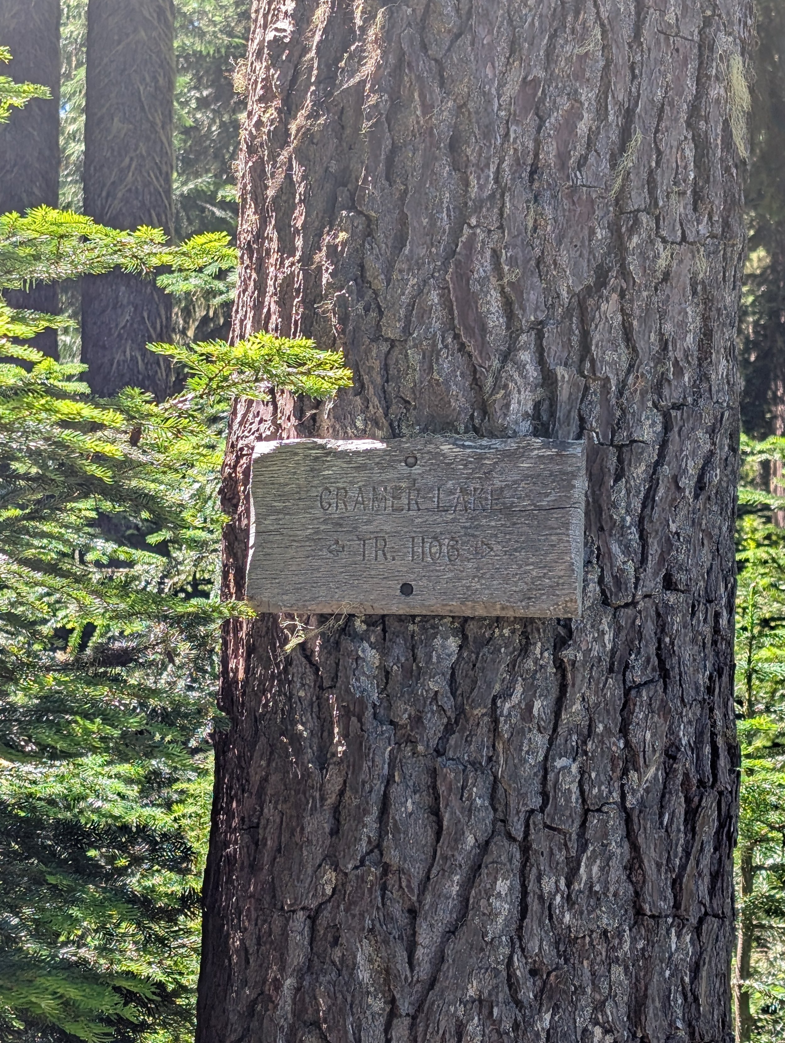 PXL_20260727_200218429.jpg