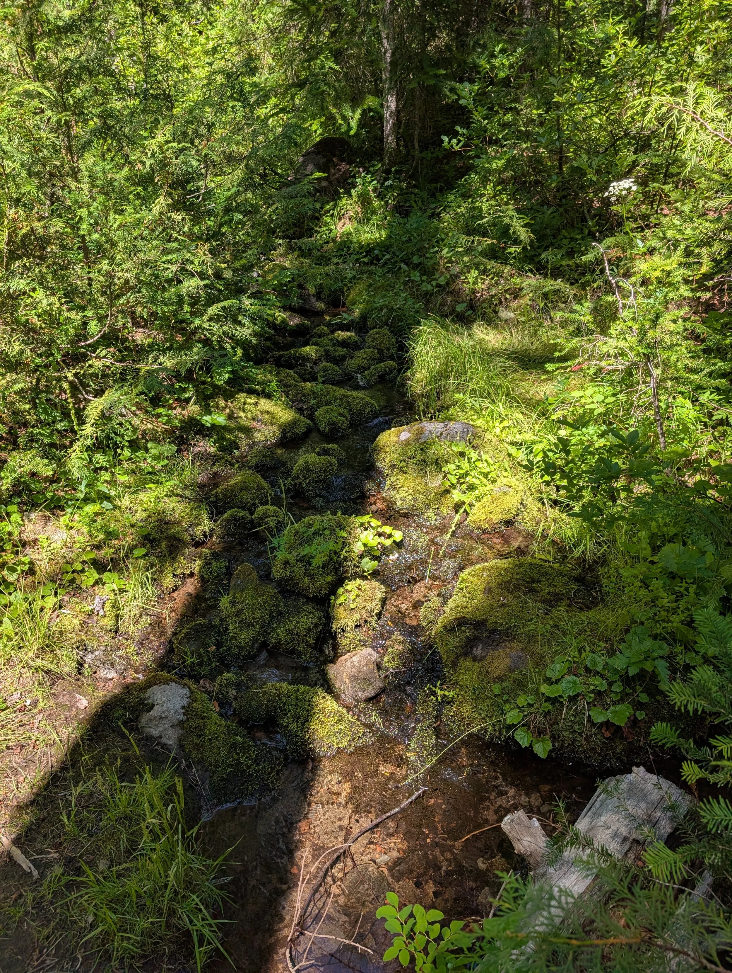 PXL_20260727_191226604.jpg