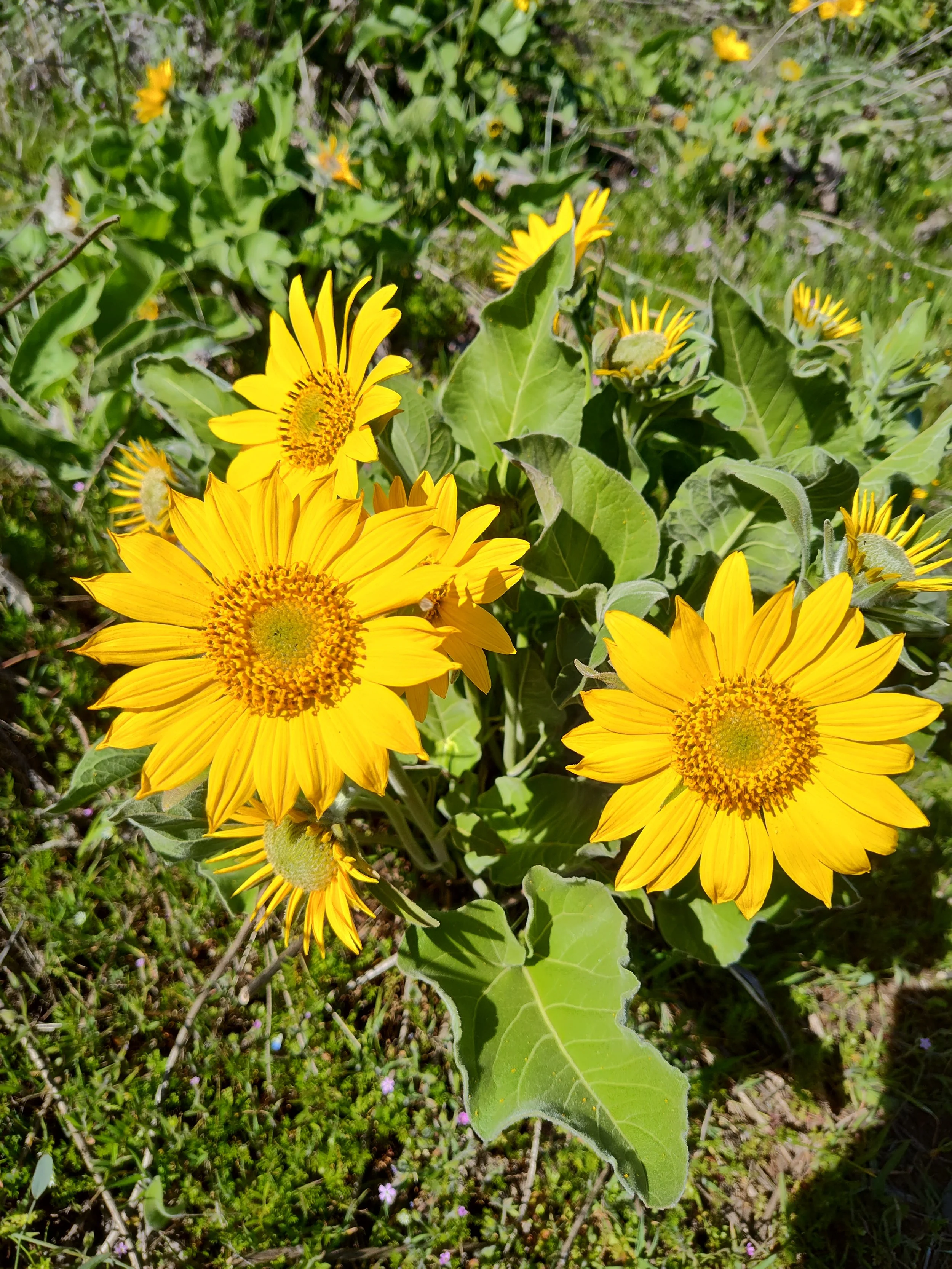 IMG_20260406_131511485_HDR (1).jpg