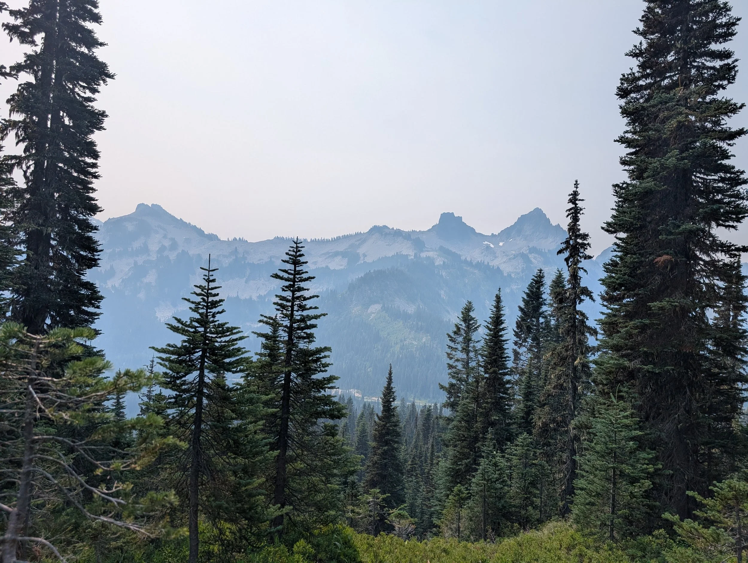 PXL_20260803_184620794.jpg