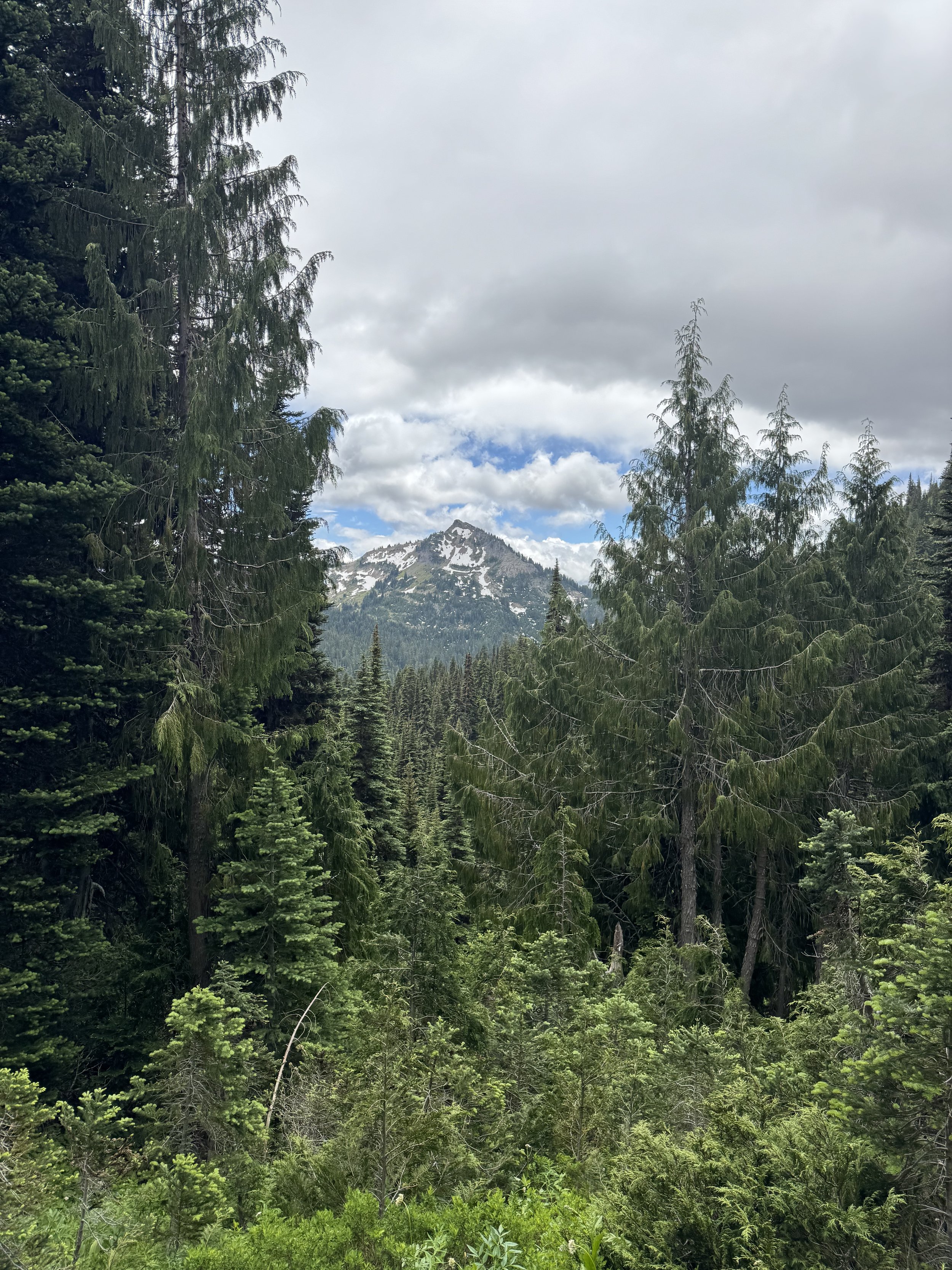 IMG_2008.jpeg