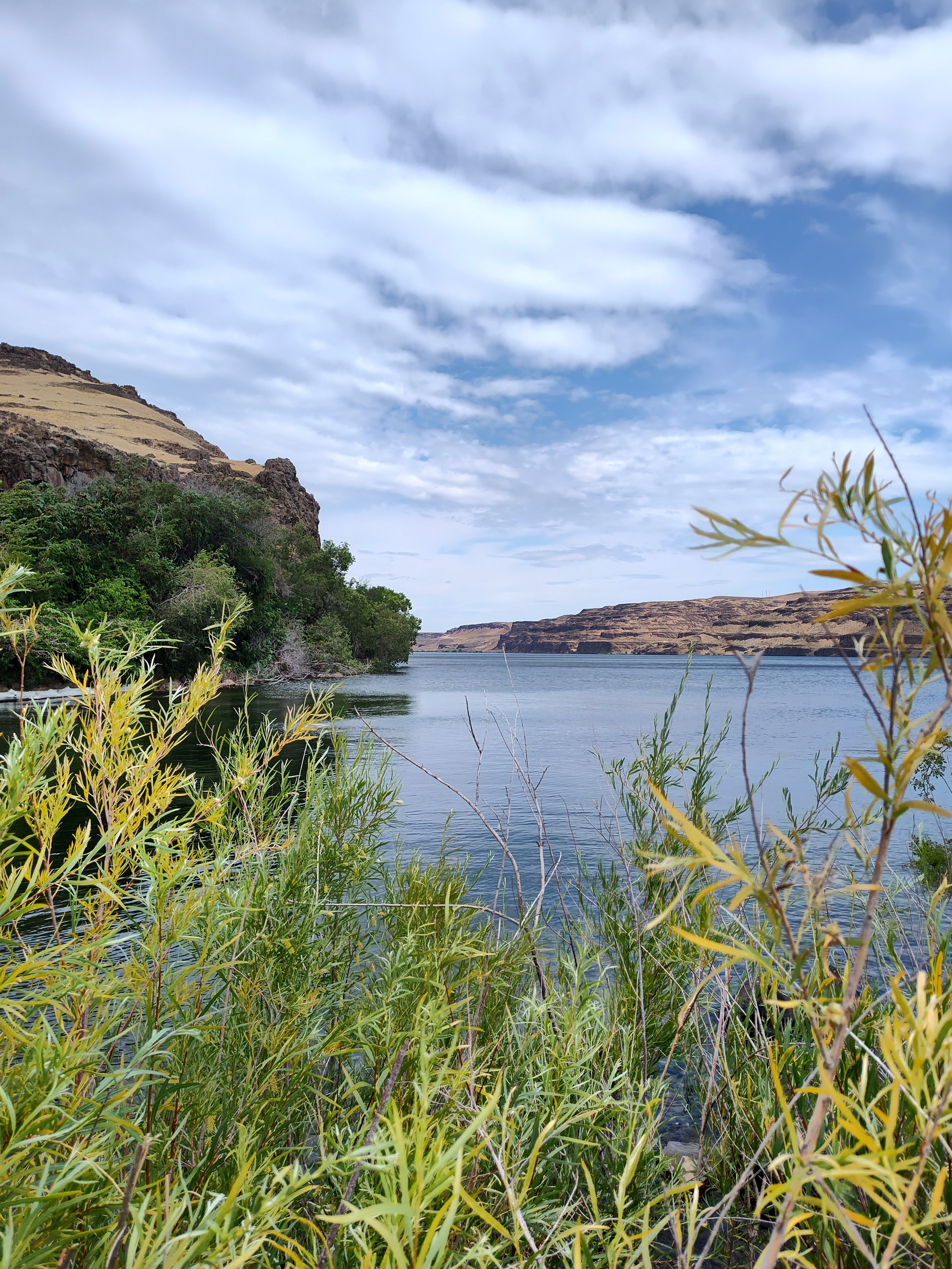 IMG_20260629_112816197_HDR.jpg