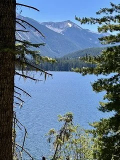 IMG_7355.jpg