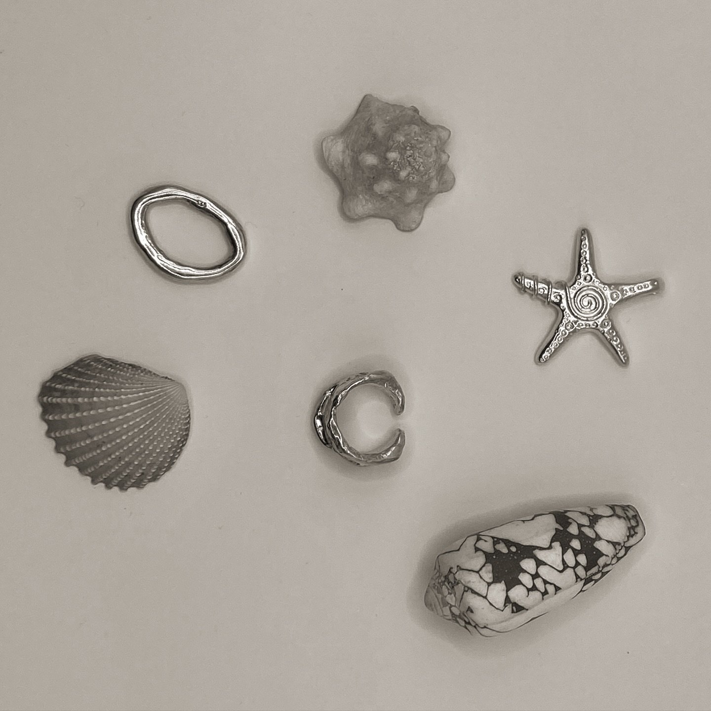 🐚