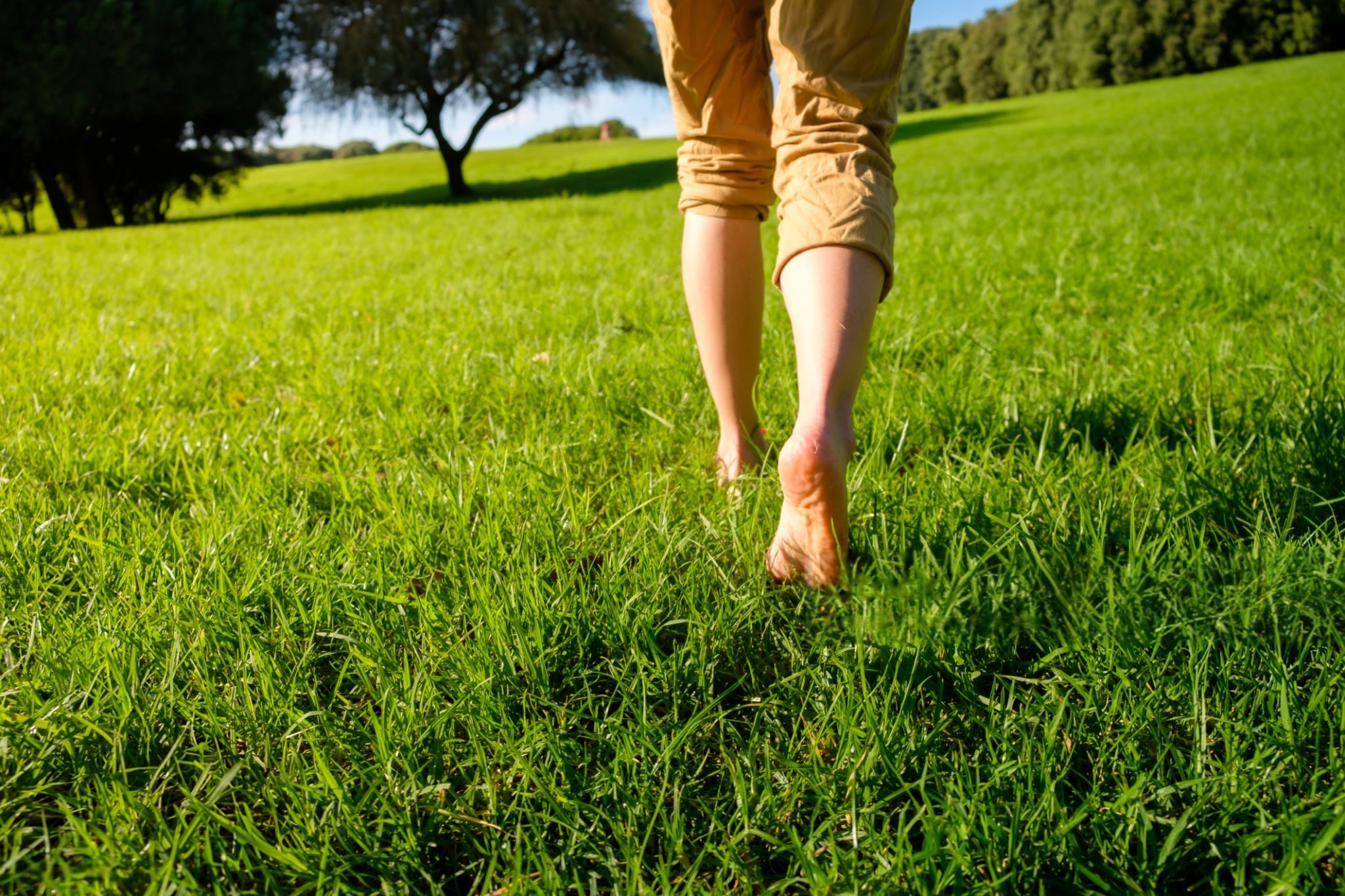 The Healing Power of Grounding: Why Reconnecting with the Earth Changes Everything