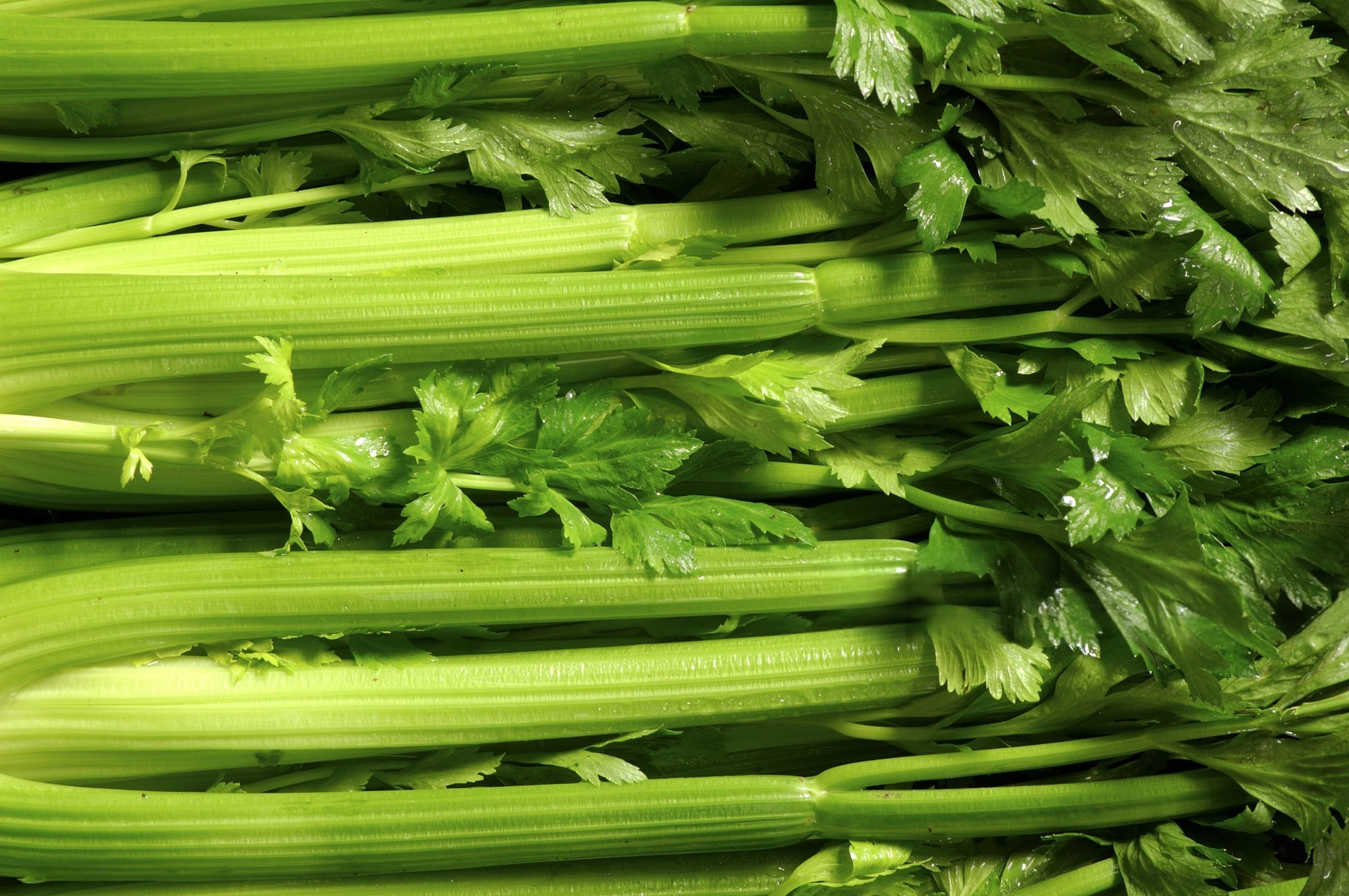 The Healing Power of Celery Juice: A Natural Detox for the Body and Soul