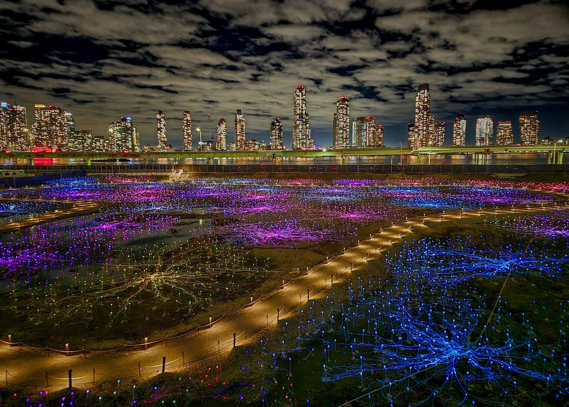 Field of Lights, Manhattan NYC