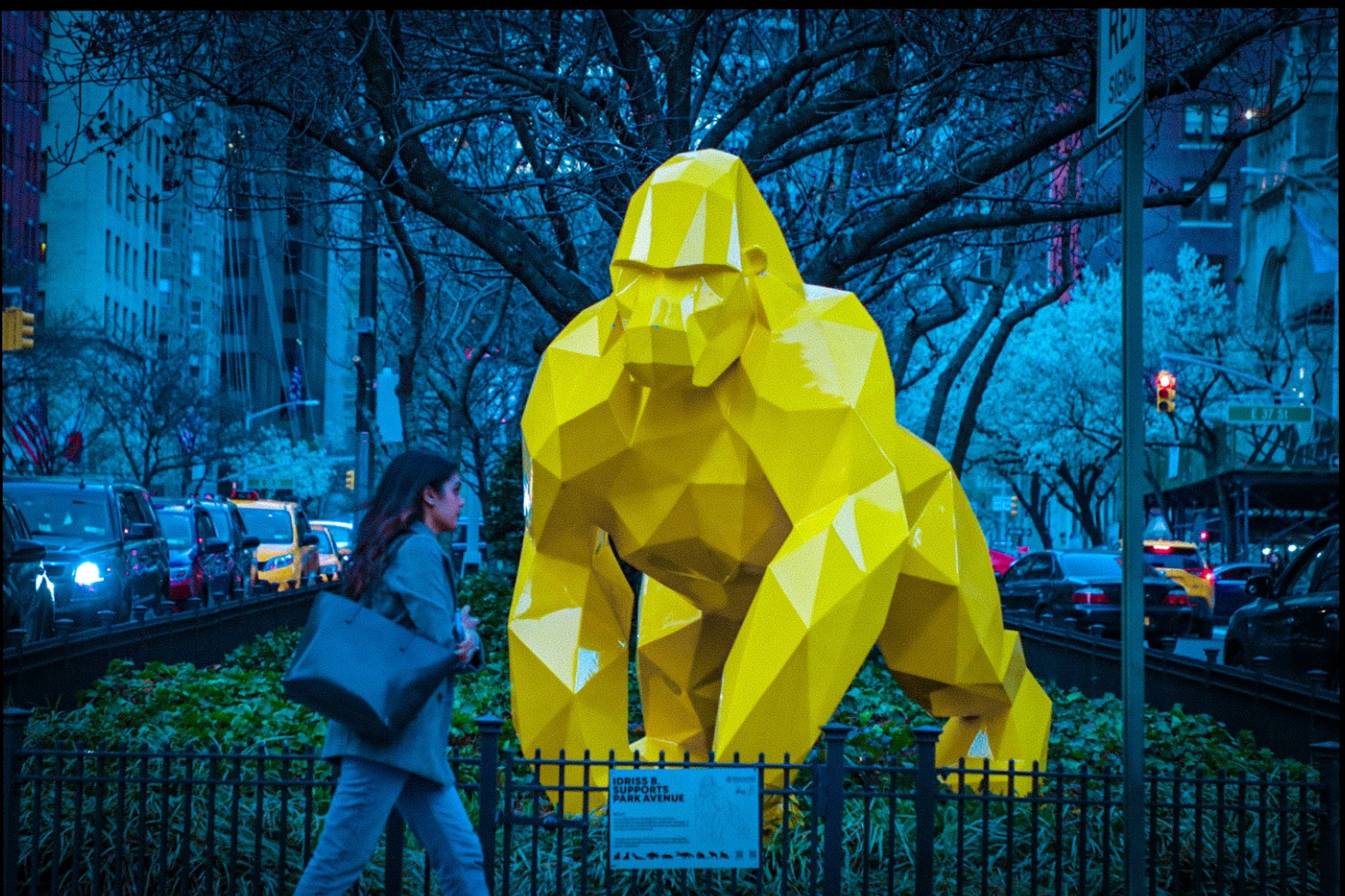 Street art, Park Ave, NYC. Artist, Idriss B