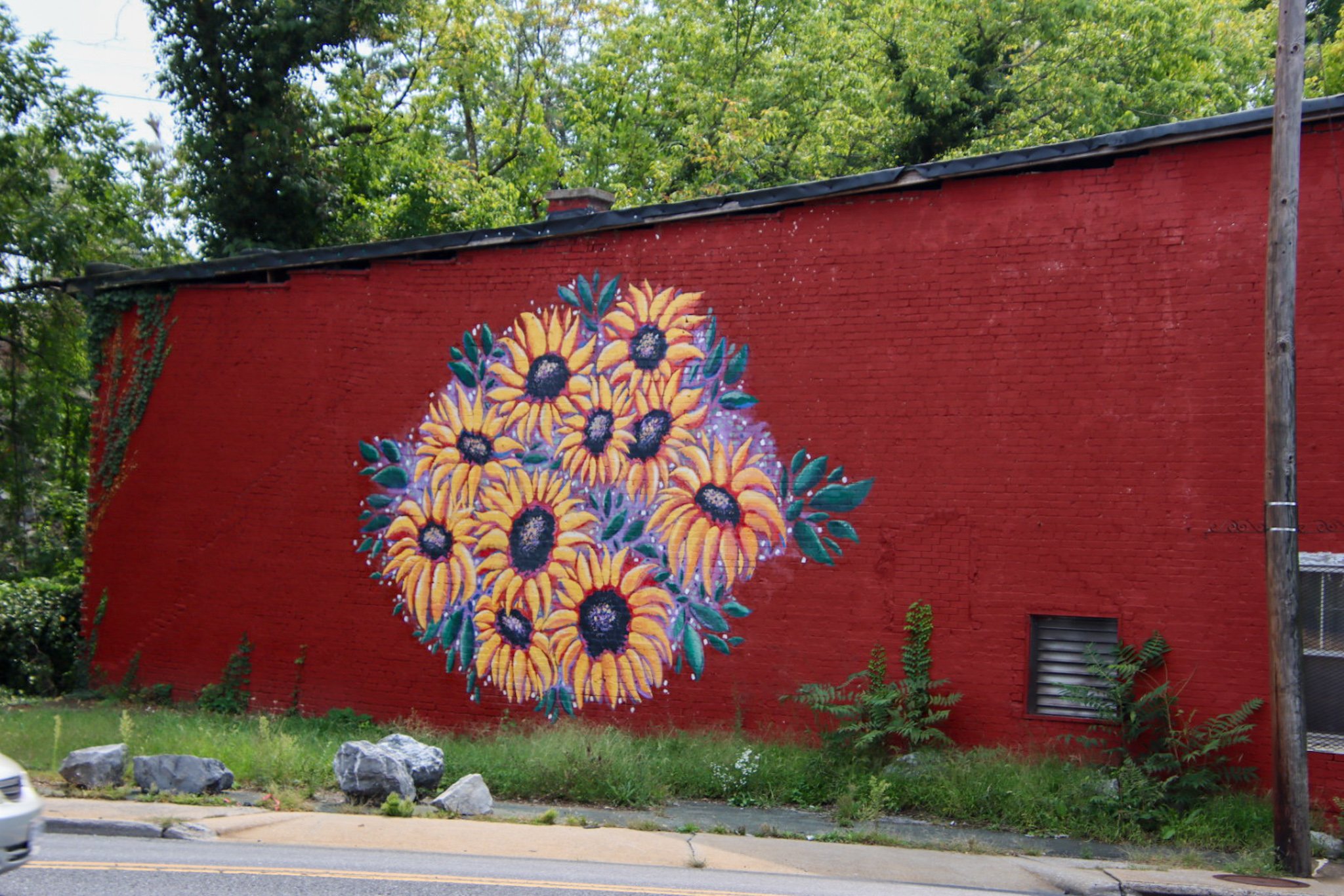 Street art, Staunton, VA