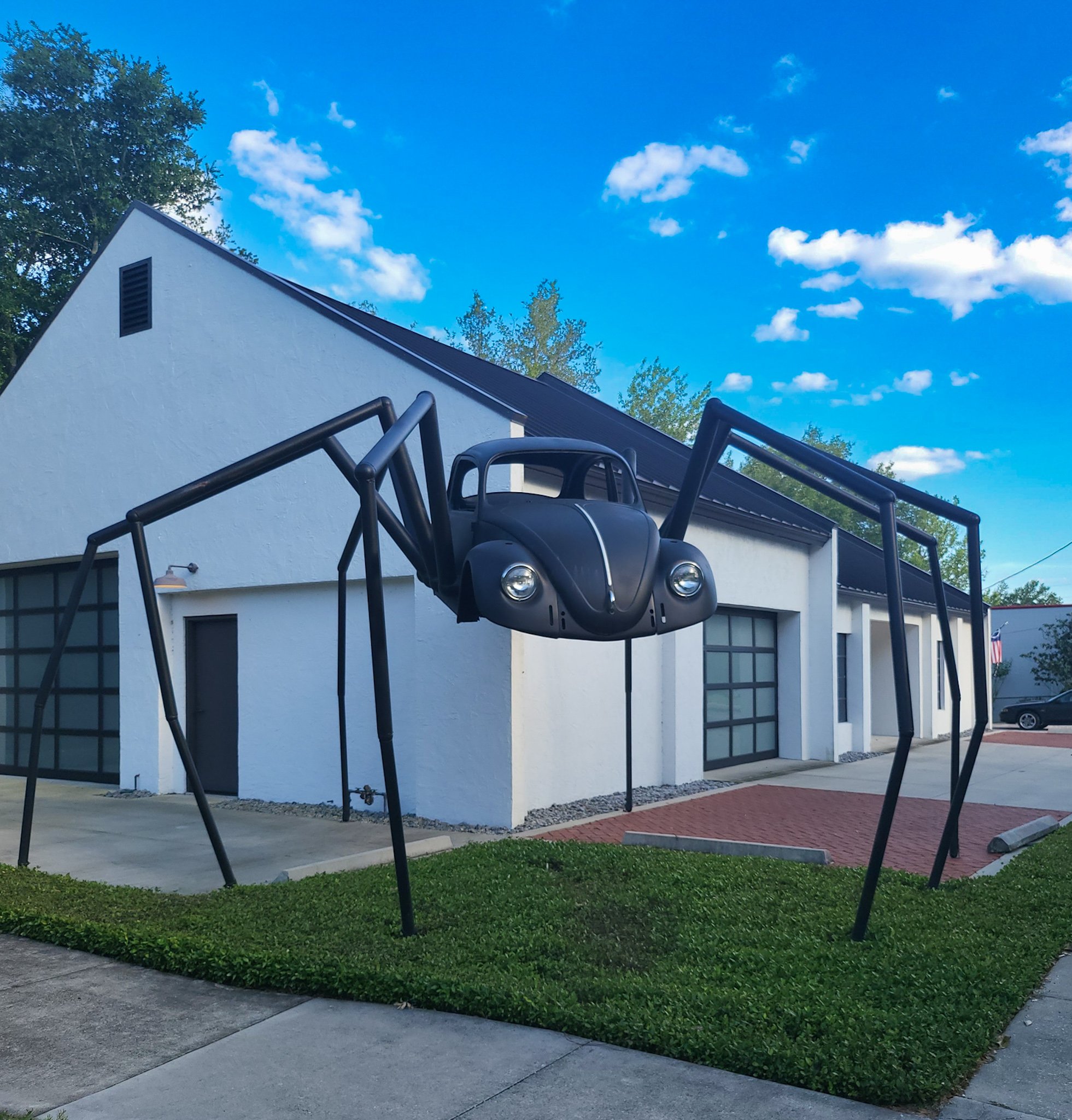 Spider Beatle. Mount Dora, Florida