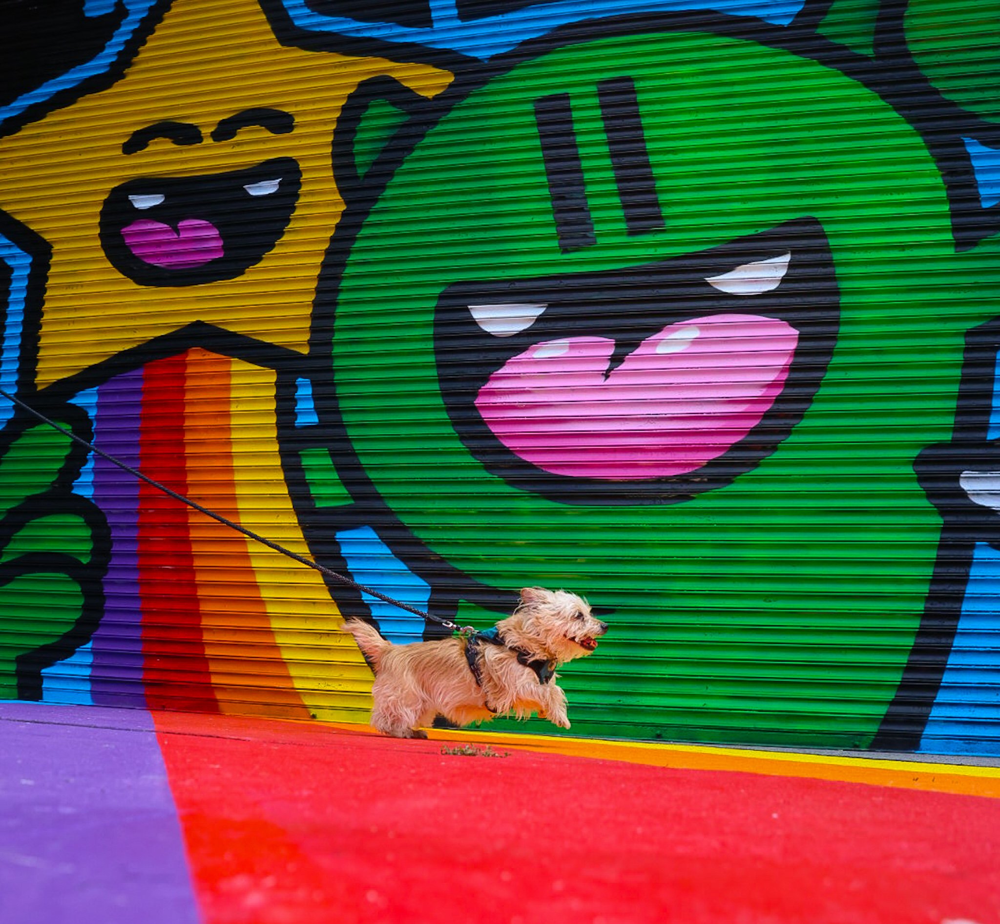 Street art, Bushwick, Brooklyn. "Dog Eat Dog Day"