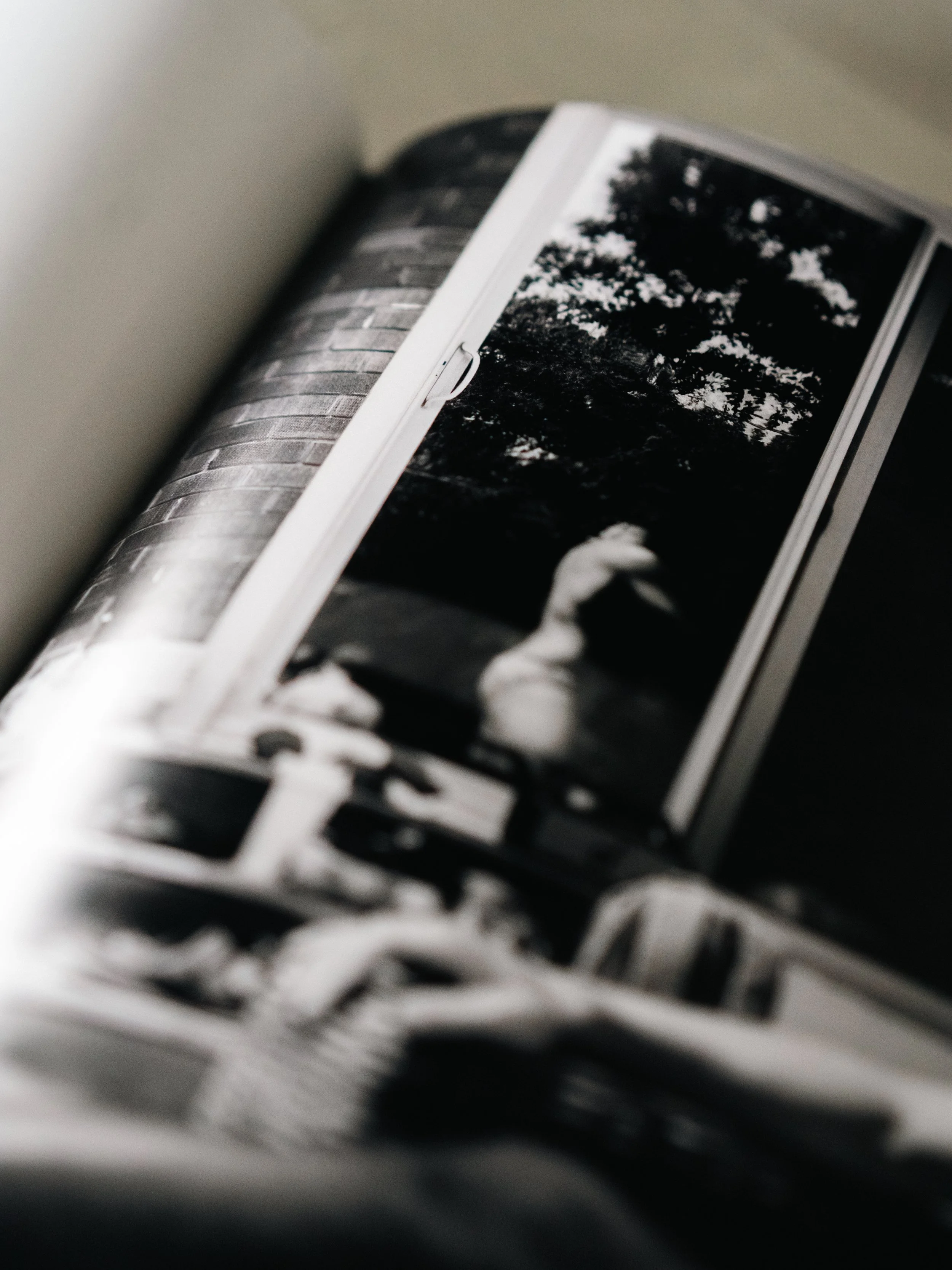 Bodies In The Sun (5 of 7).JPG