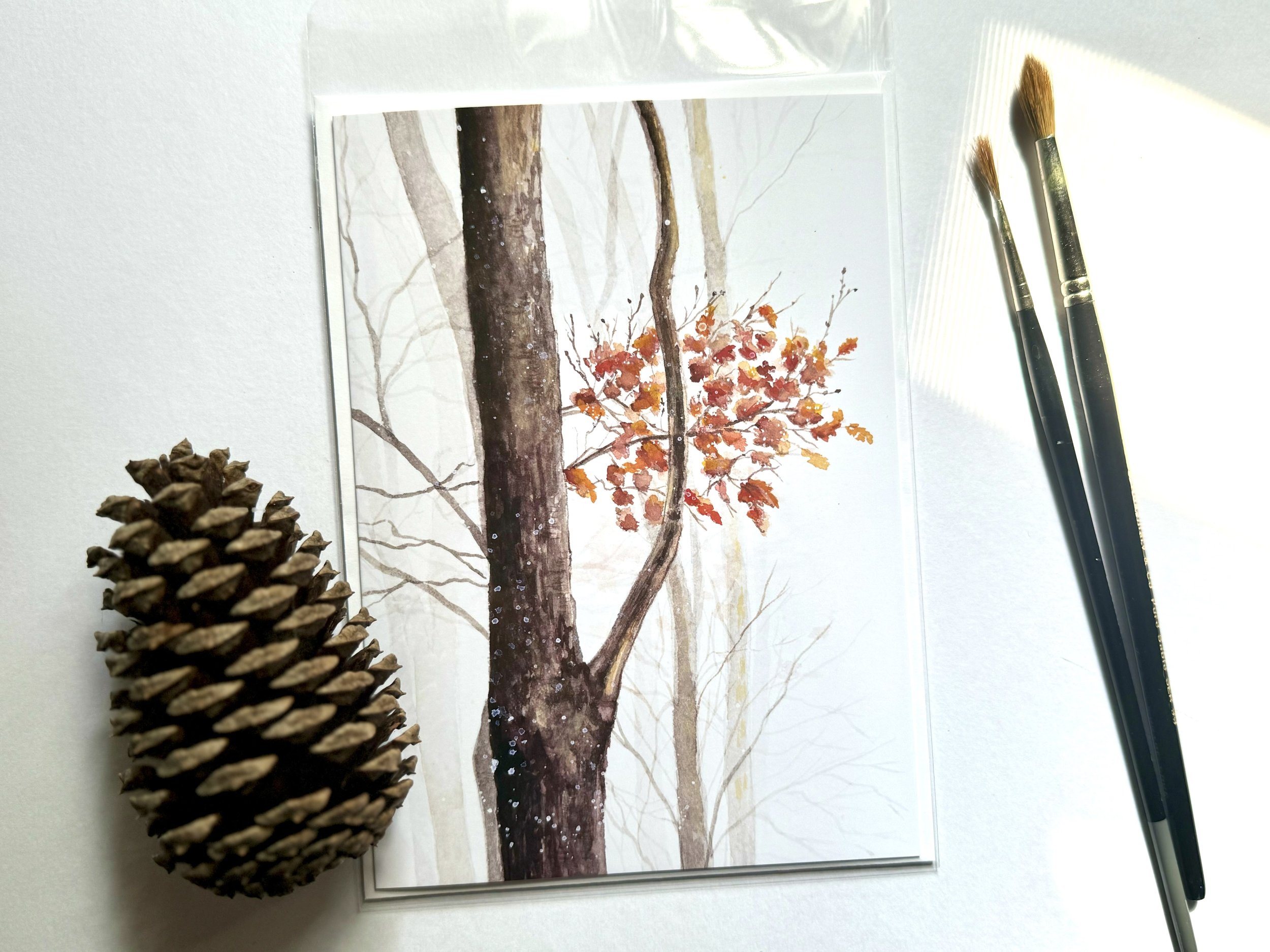 Misty forest Card