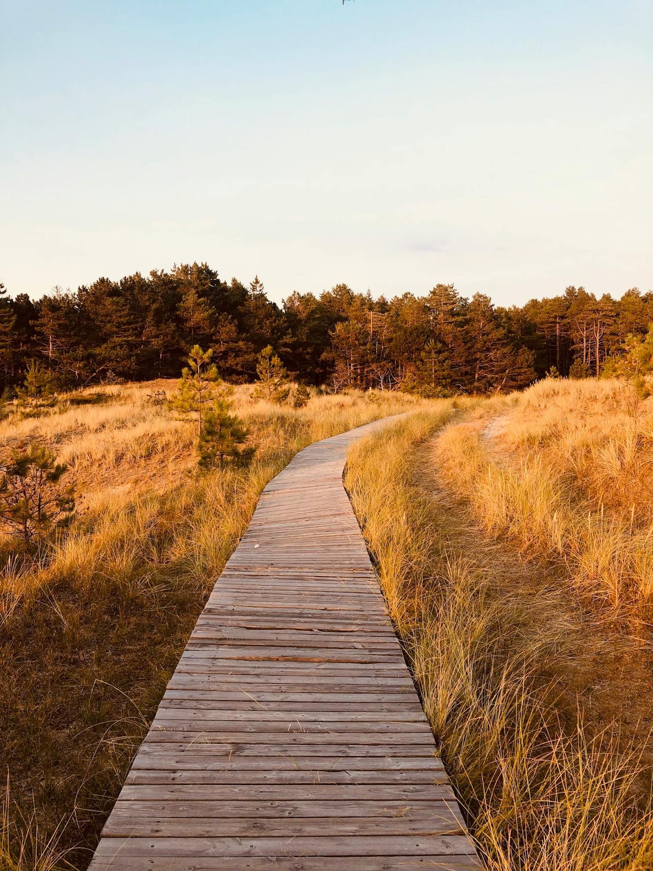 lcsw supervision tennessee, clinical supervision social work