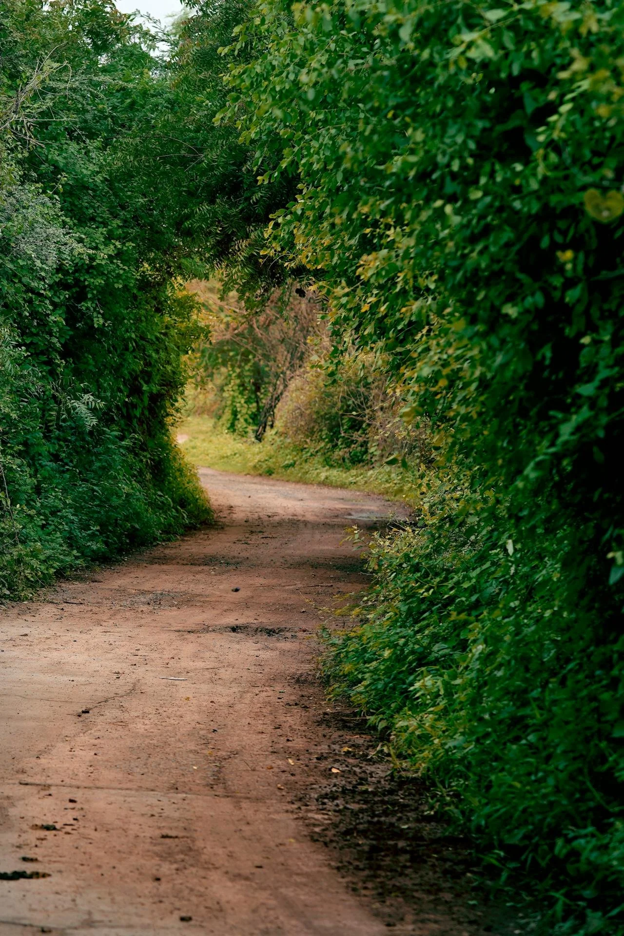 preparing for lcsw licensure in tennessee