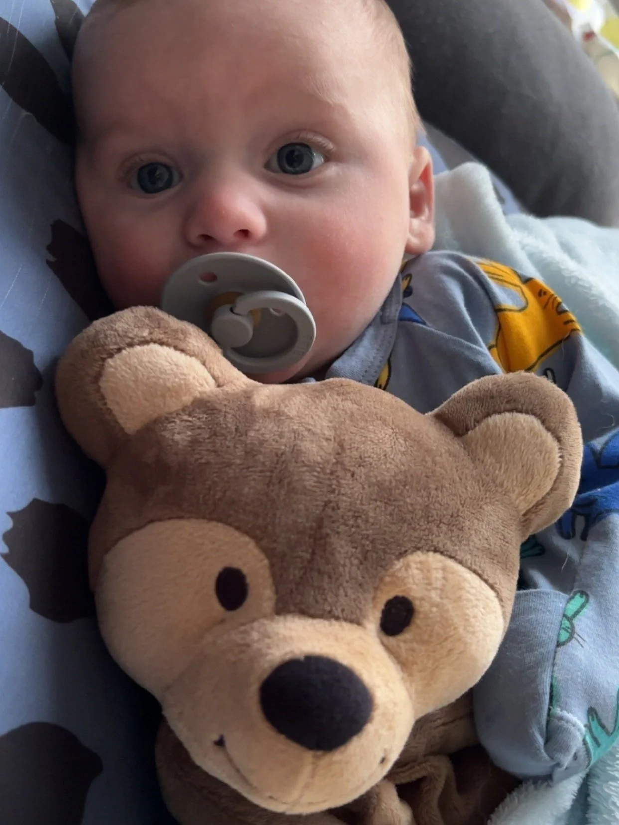 Baby with a gray pacifier cuddled up with a brown teddy bear, wrapped in a blanket.