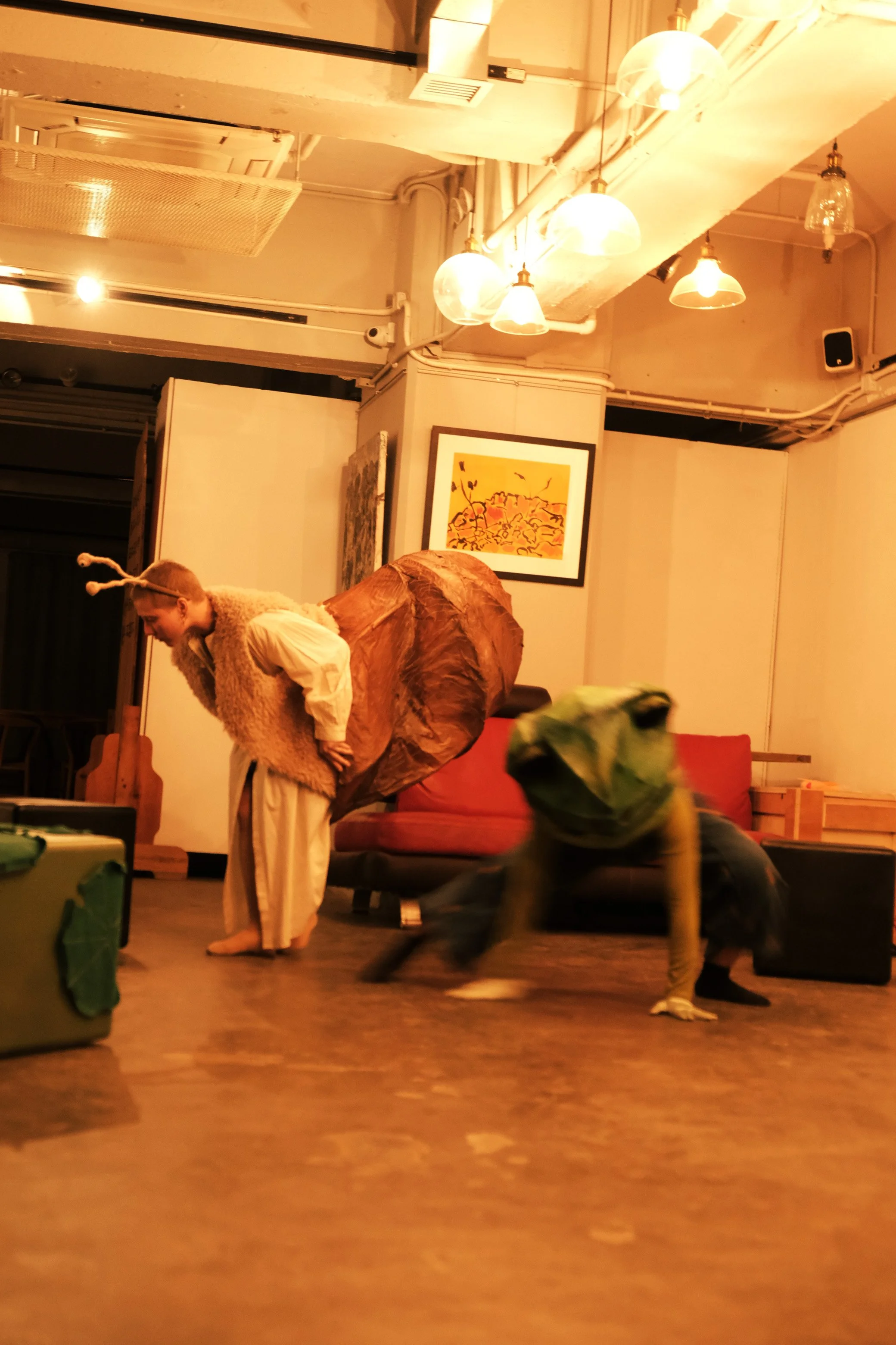 A Tale of a Frog and a Snail