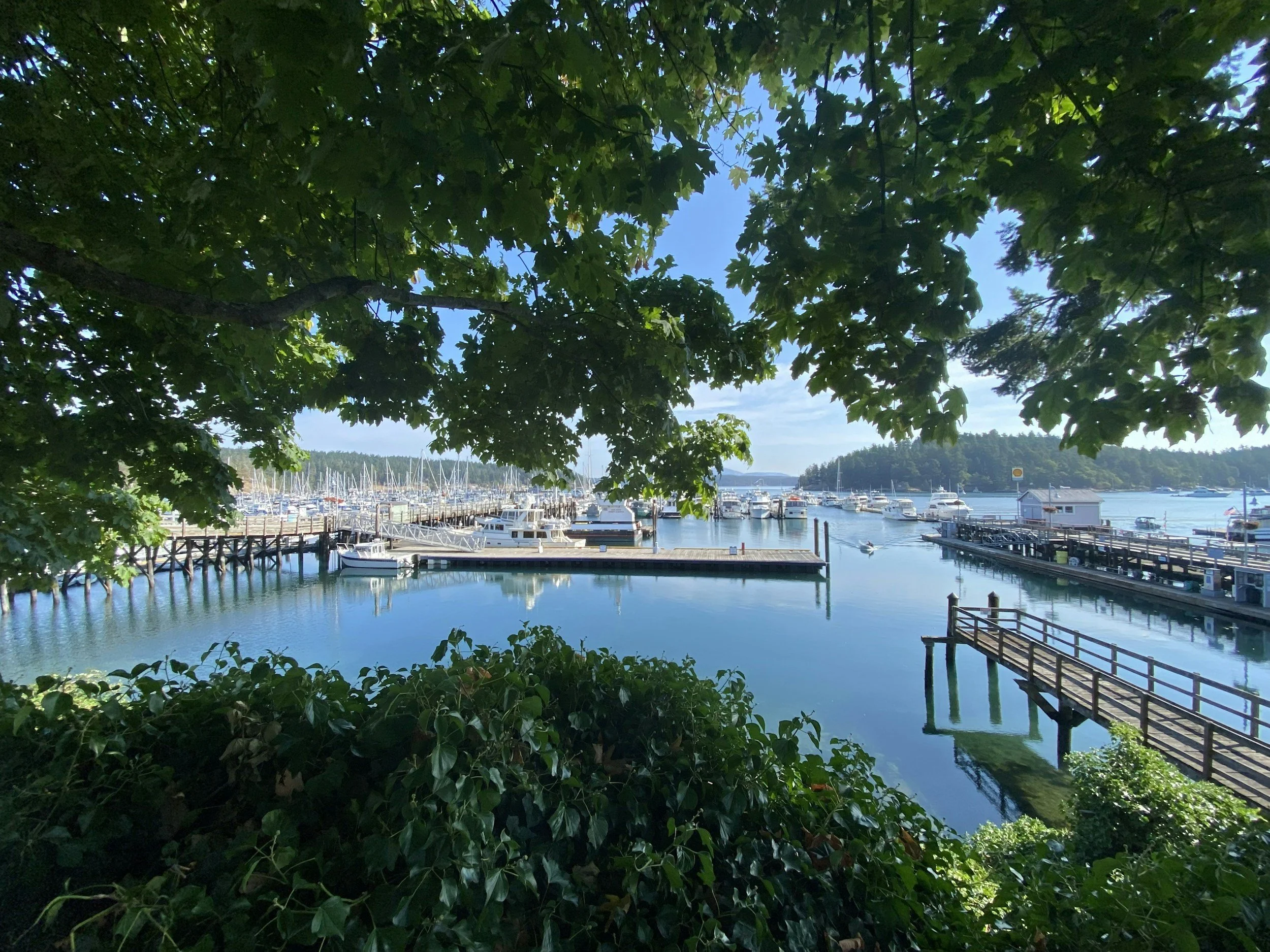 Discovering Real Estate Opportunities in Island County