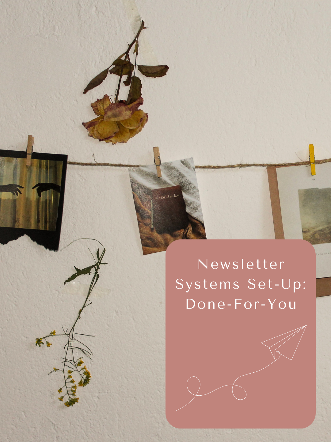 (newsletters)(services)