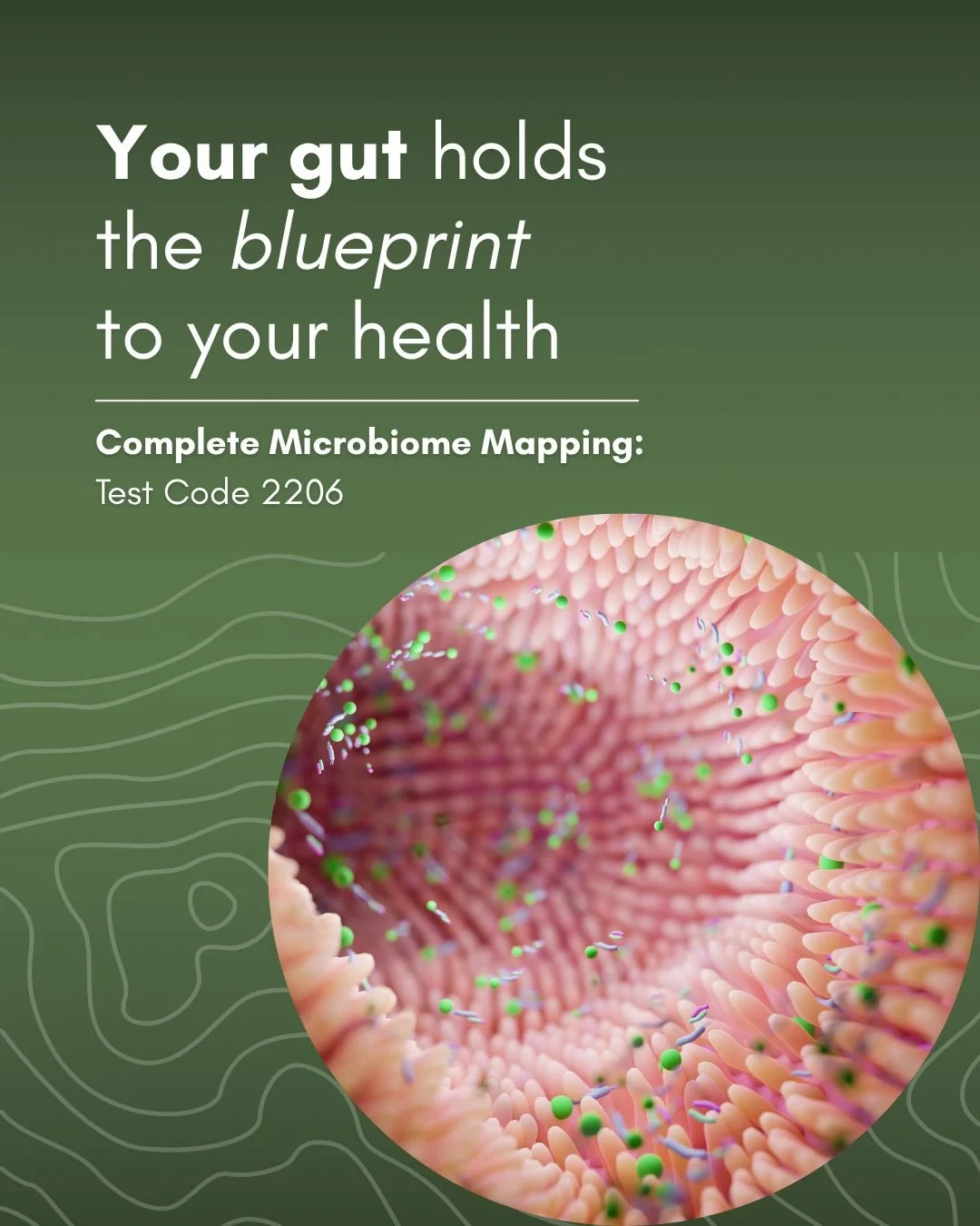 Your gut is involved in so much more than just digestion.

From your energy and mood, to your skin, hormones and immune system. Your microbiome plays a central role in how your body functions day to day.

So when something feels off, it&rsquo;s worth