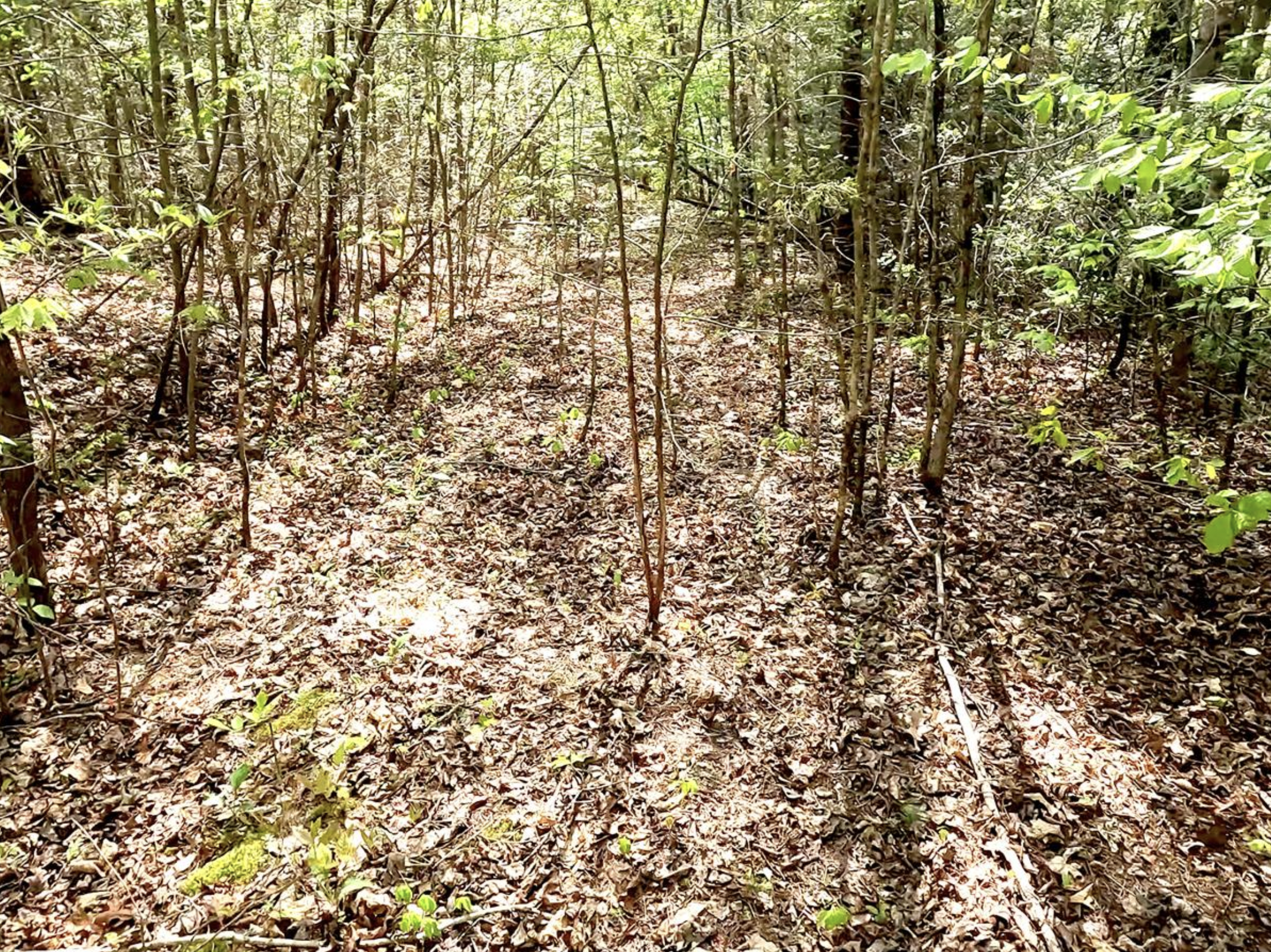 FLAT AREA AT THE TOP