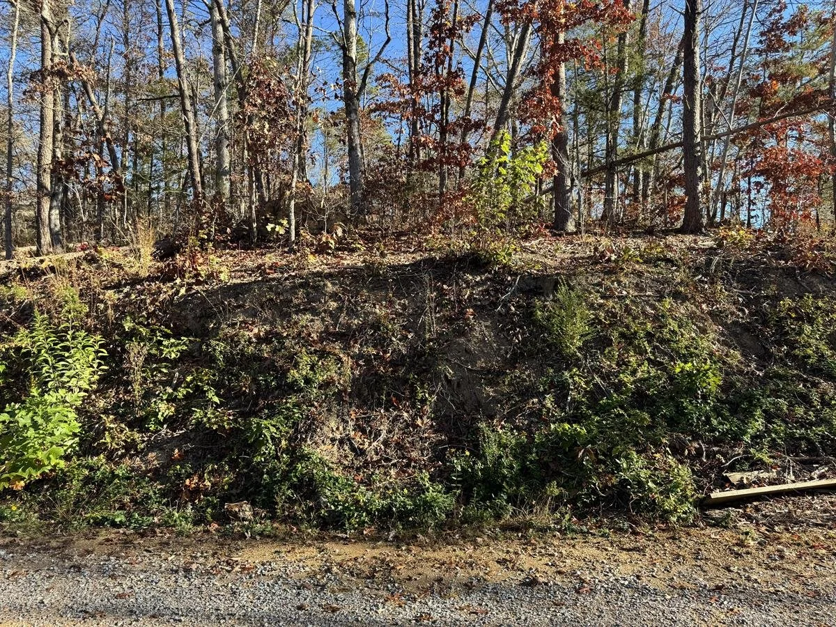 PHOTO #10, MORE LEVEL AREA DISPLAYED ON TOP