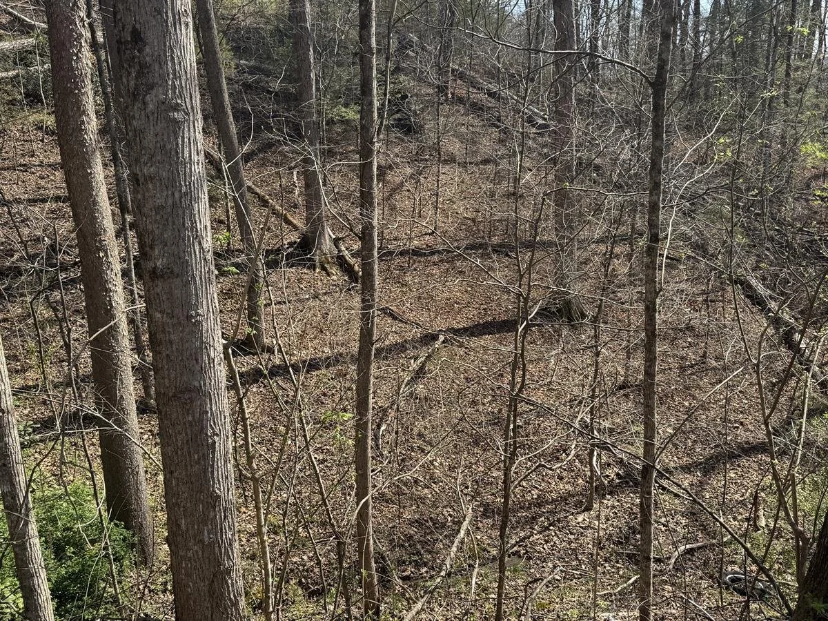 MOBILE, MODULAR AND STICK BUILT ALLOWED