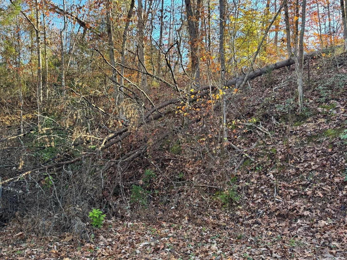 PHOTO #15, SOUTHWESTERN EDGE OF LAND