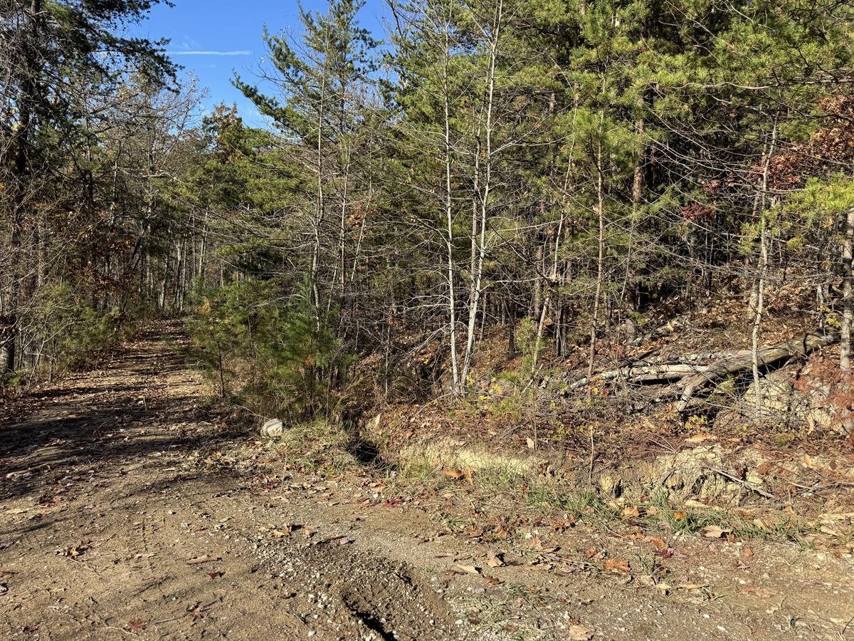 LAND ON RIGHT