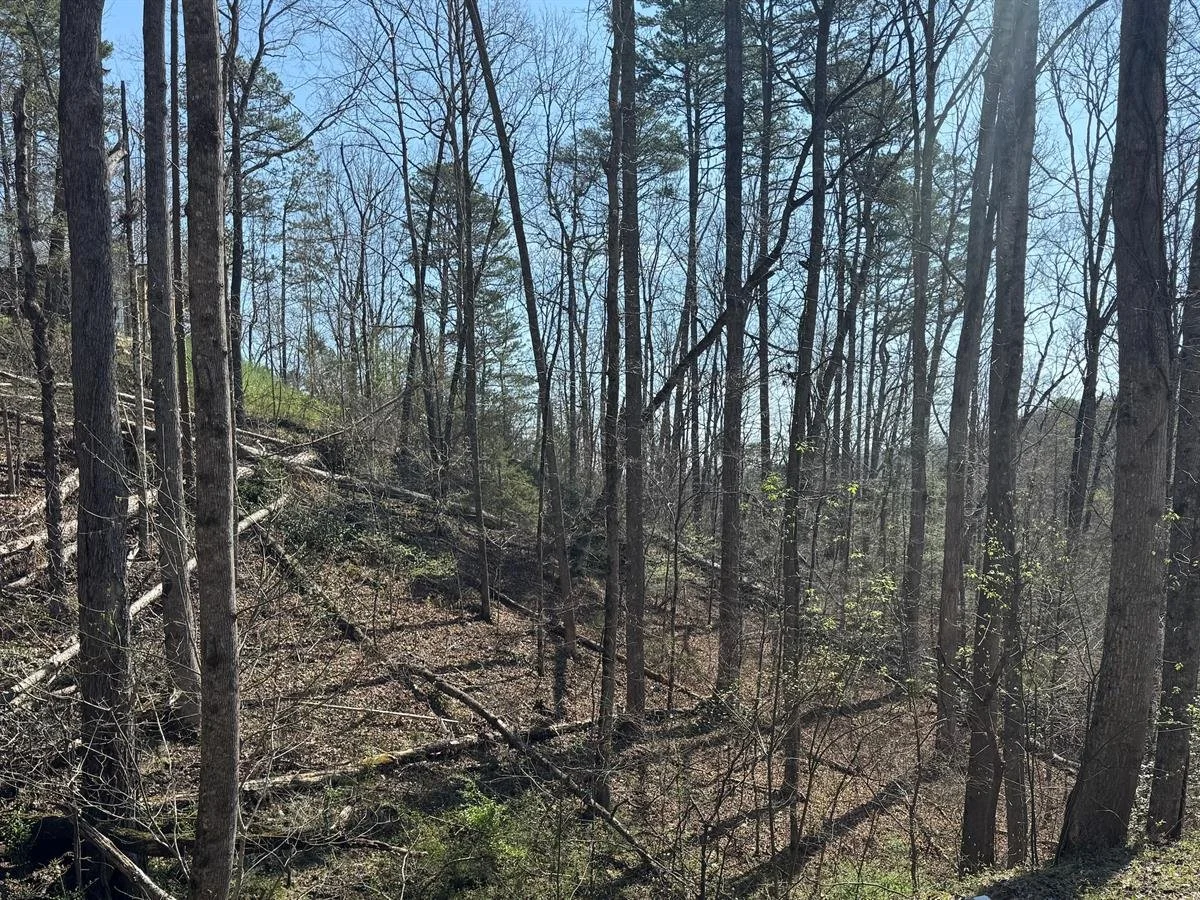 HIDE AWAY IN YOUR UNRESTRICTED LAND