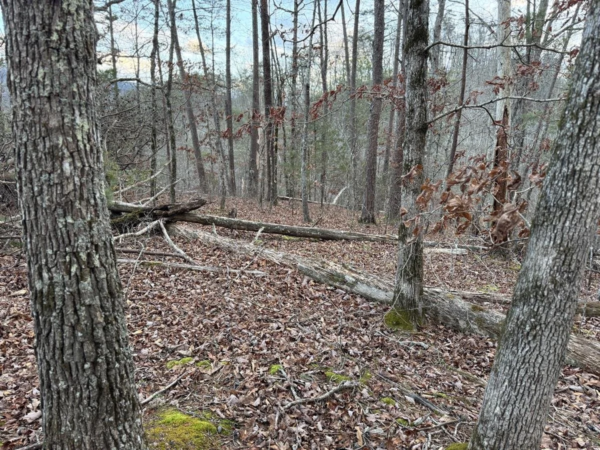 MOUNTAIN VIEWS AT THE TOP!