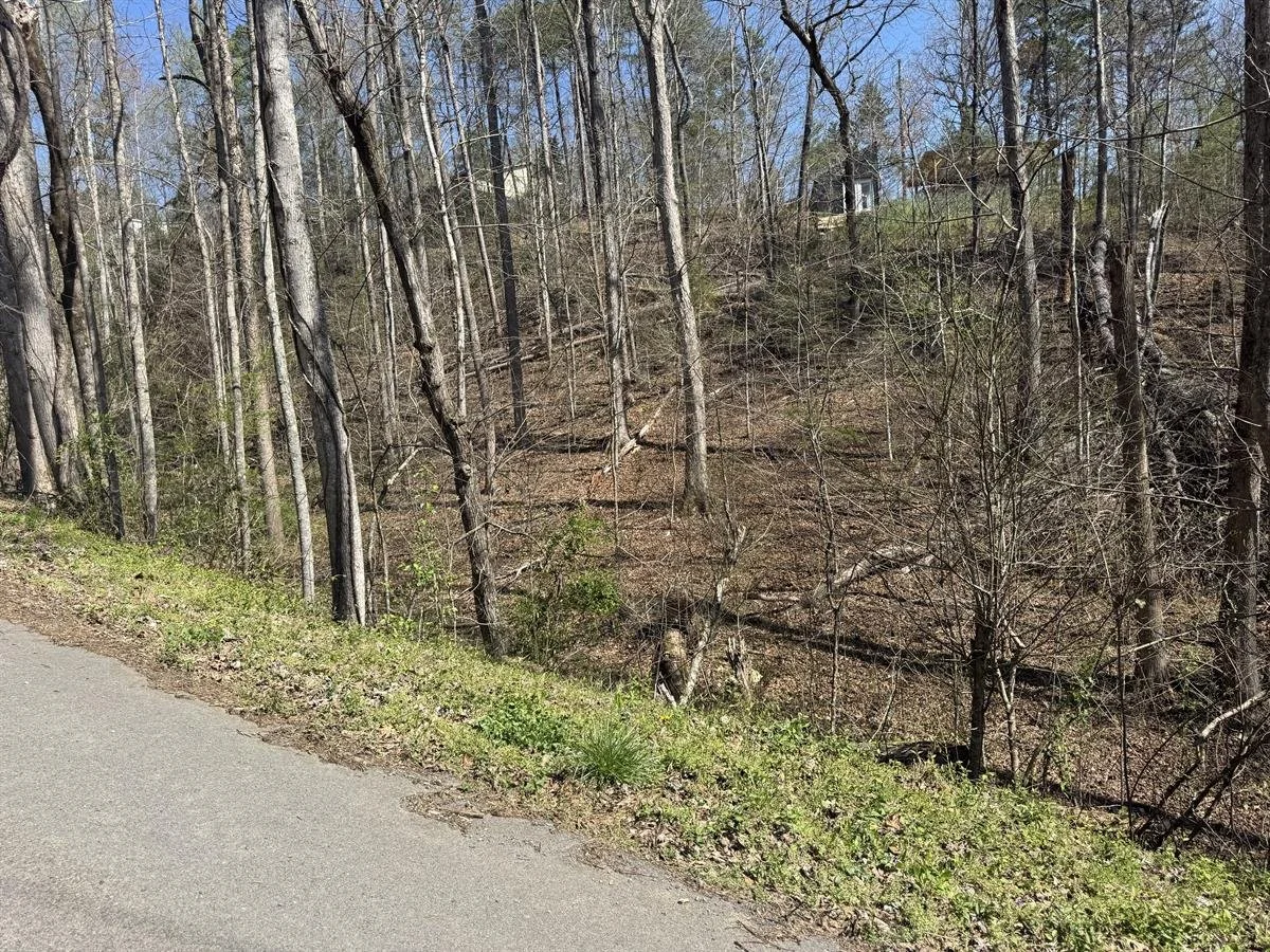 POSSIBLE DRIVEWAY ENTRANCE