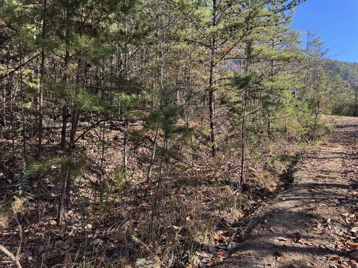 LAND ON LEFT