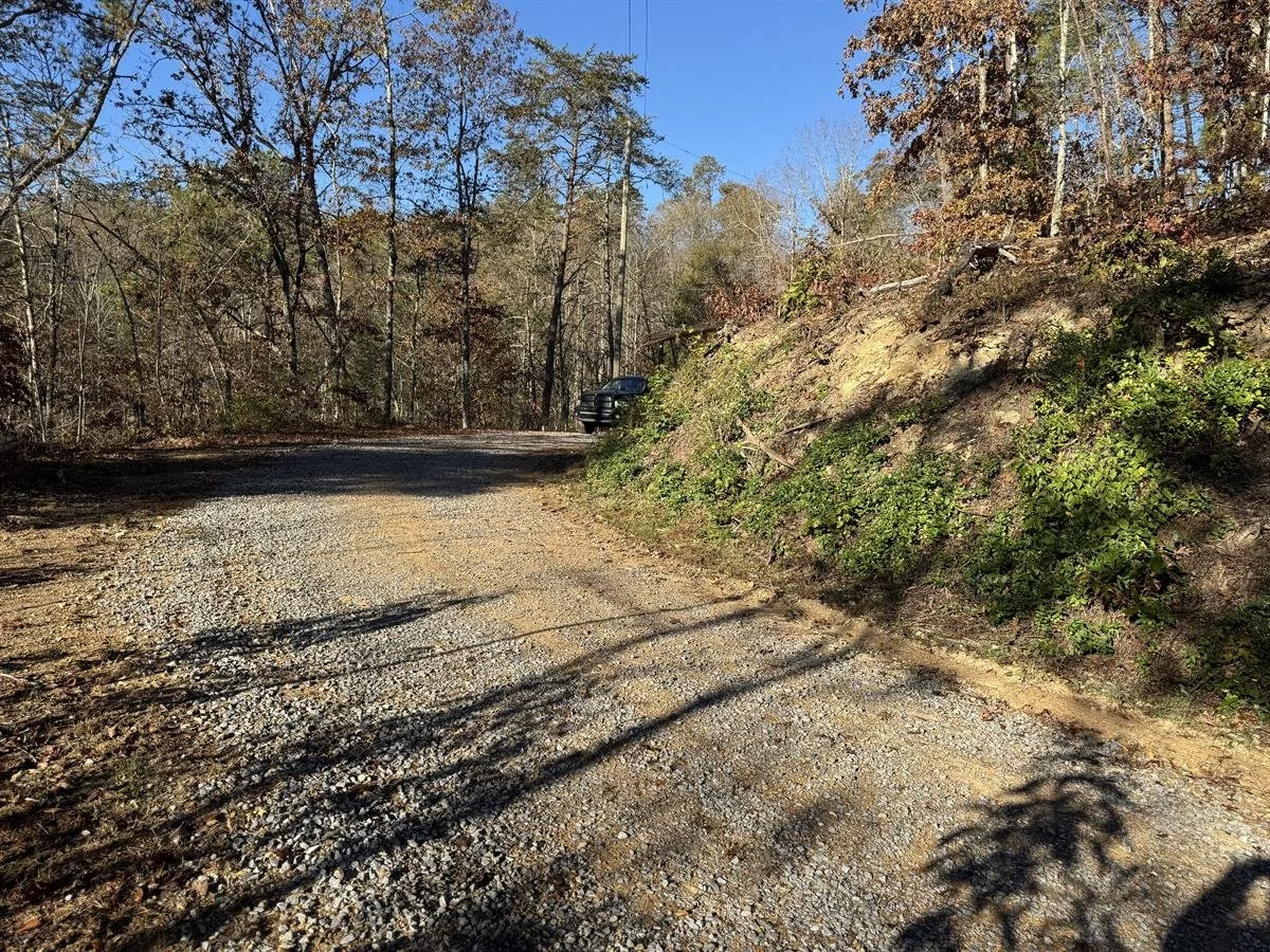 PHOTO #6, WIDER VIEW OF THE CURVE