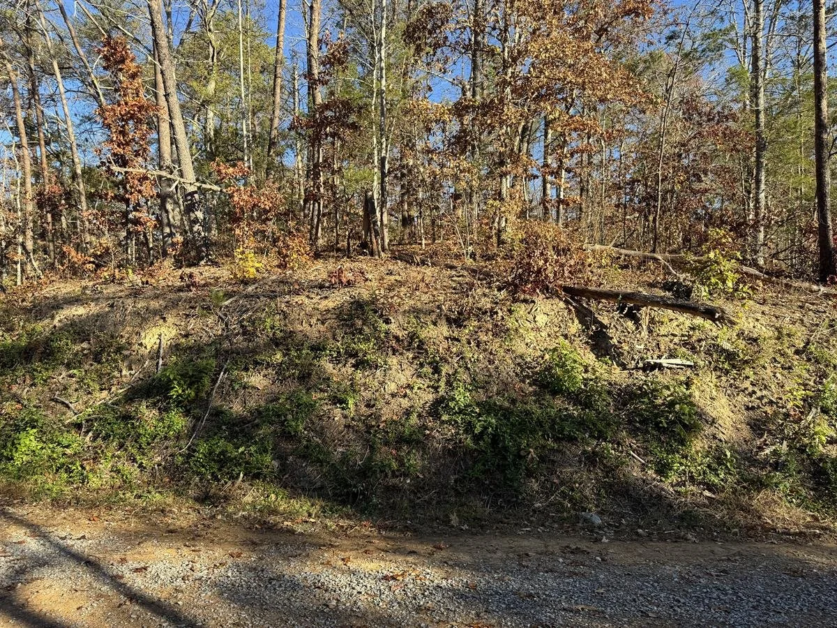 PHOTO #9, MORE LEVEL AREA DISPLAYED ON TOP