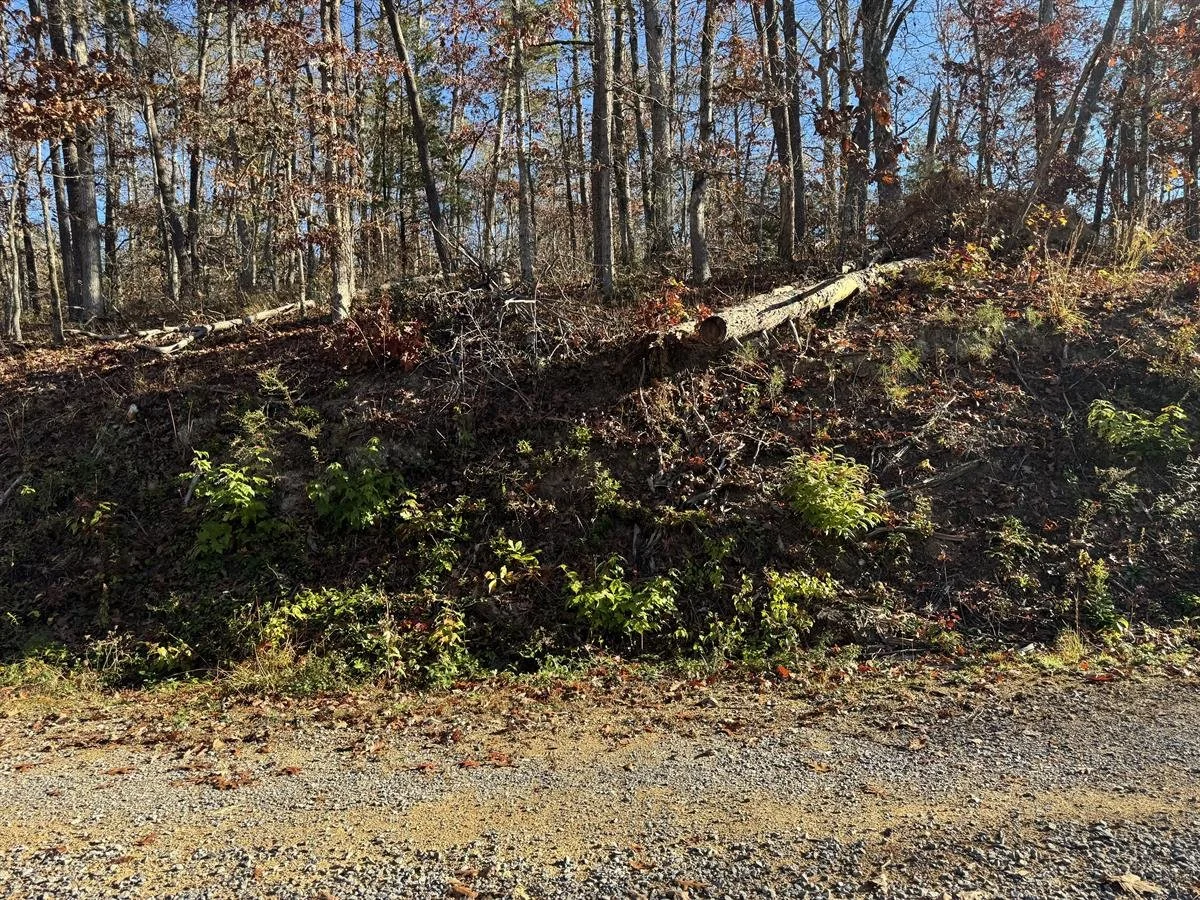 PHOTO #11, SOUTHWESTERN LAND, SUGGESTED DRIVEWAY ENTRANCE AREA