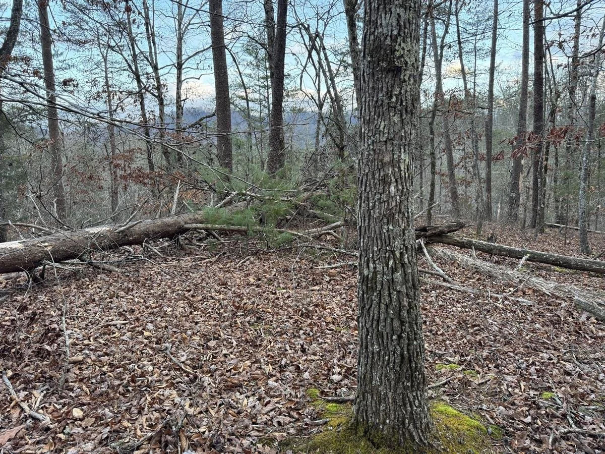 MOUNTAIN VIEWS FROM THE TOP