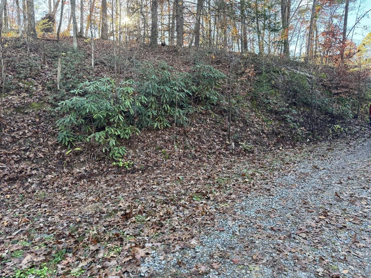 PHOTO #16, SOUTHERN END, LOOKING BACK AT LAND