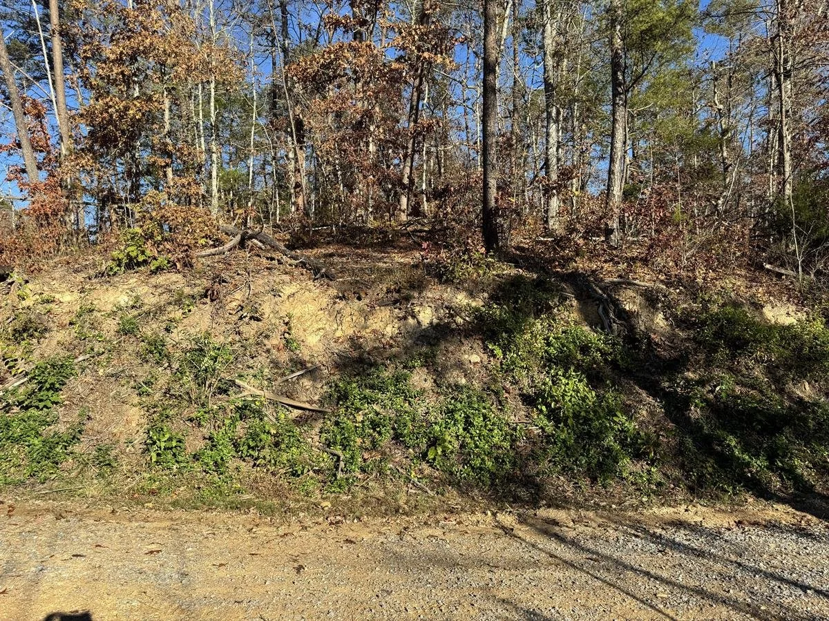 PHOTO #8, DISPLAY OF FLAT AREA ON TOP