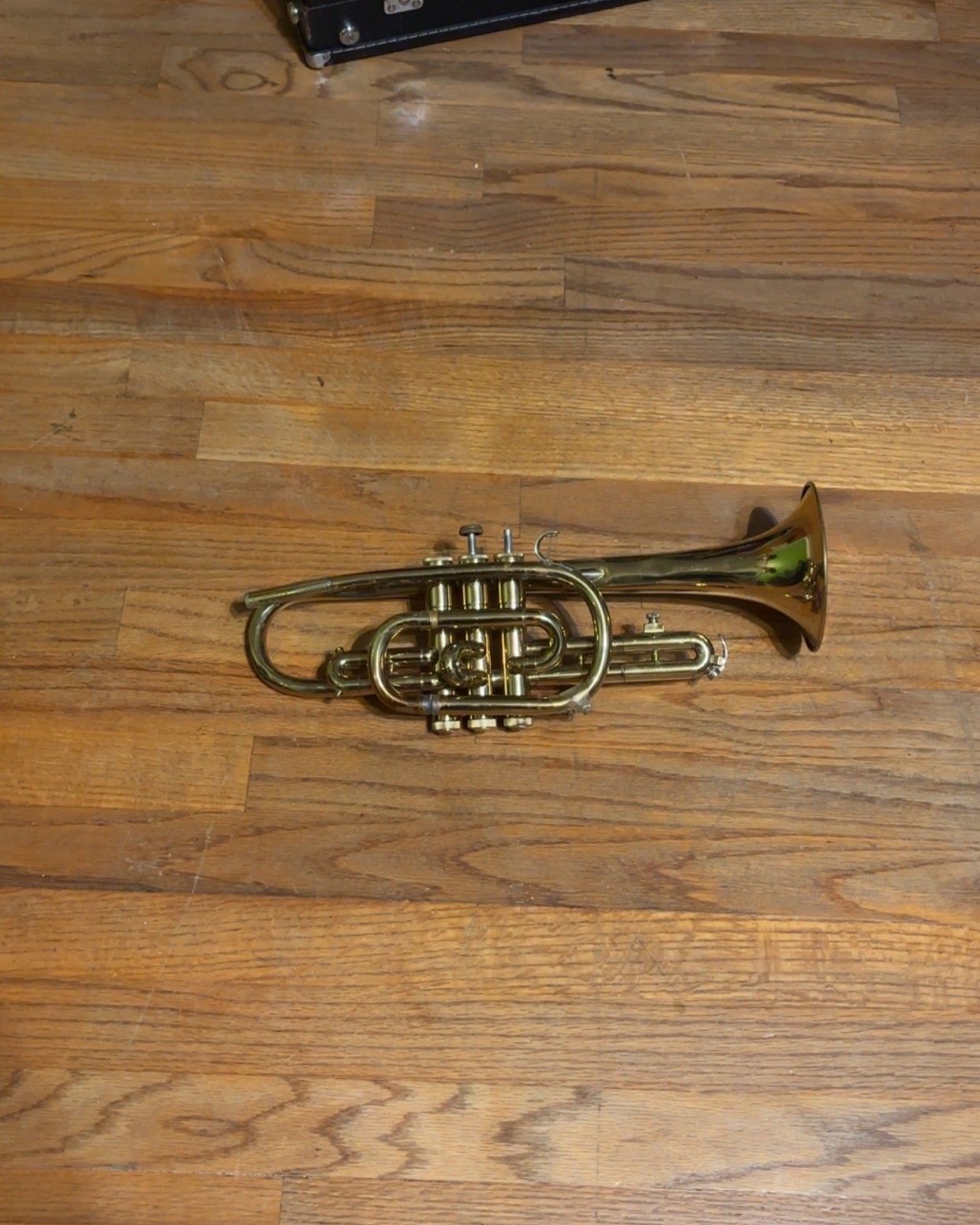 Bundy Cornet