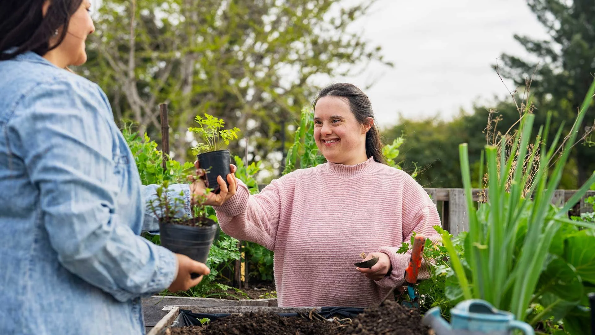 Mandatory SIL registration, what does this mean for providers and participants?