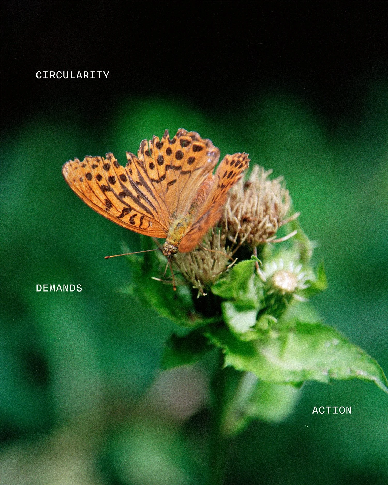 The Future is Circular: A practical framework for designing circular products