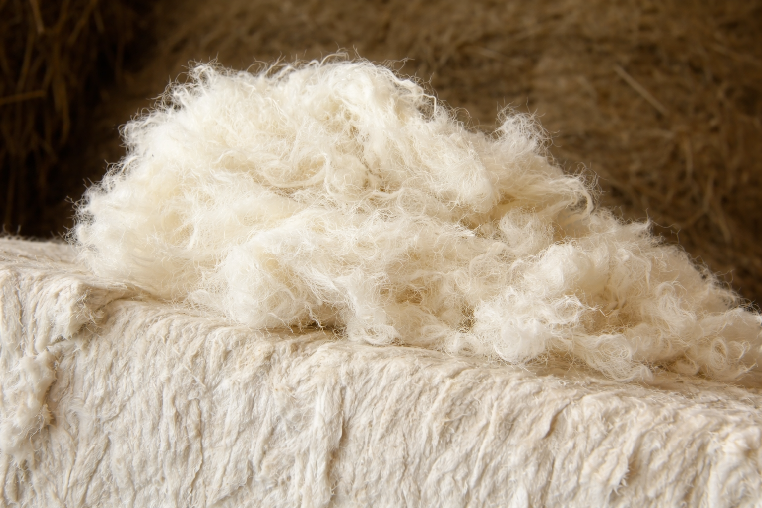 CRAiLAR®: Cottonizing Bast Fibers Through Enzymatic Innovation