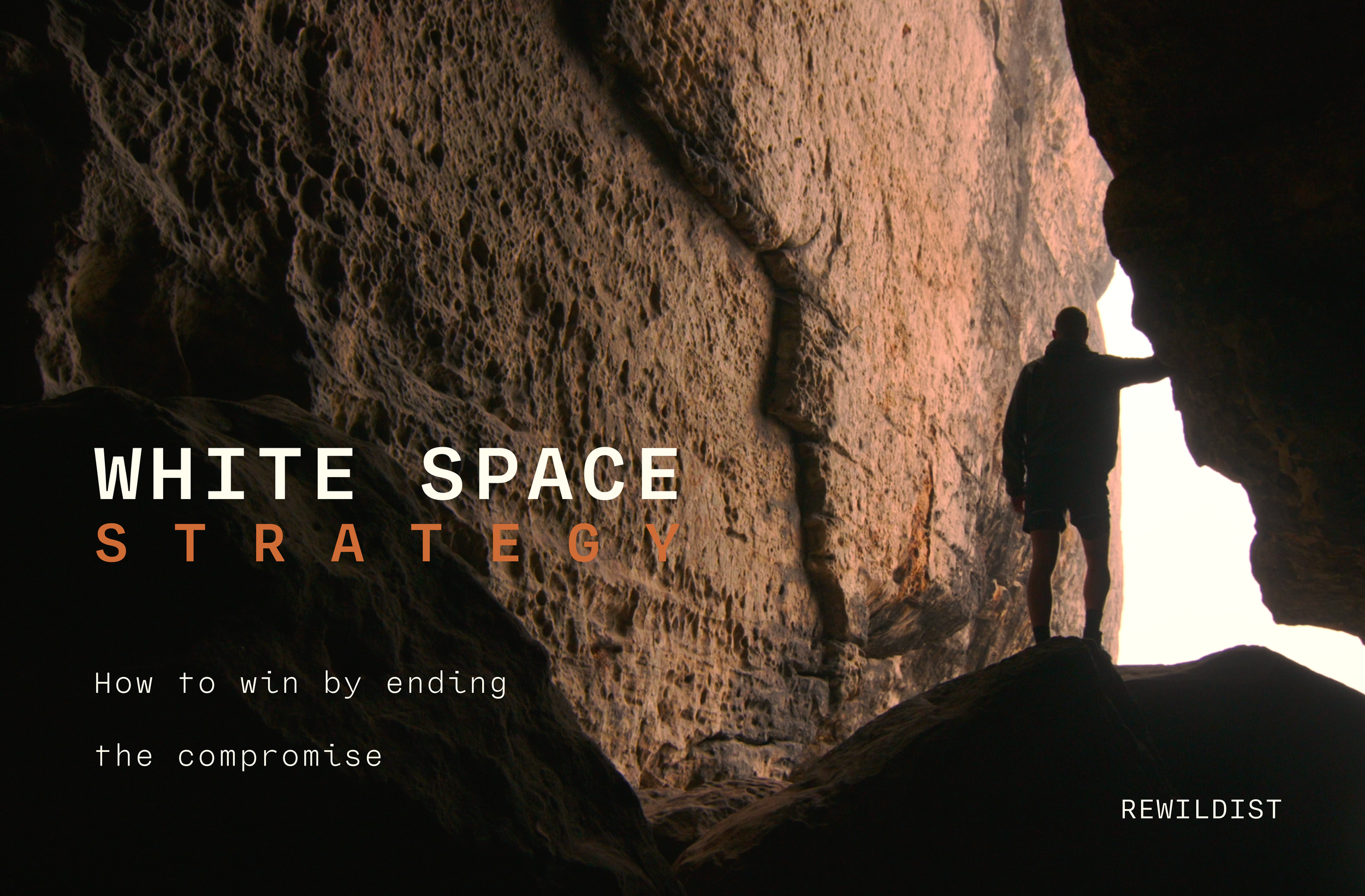 White Space Strategy: How to Win by Ending the Compromise